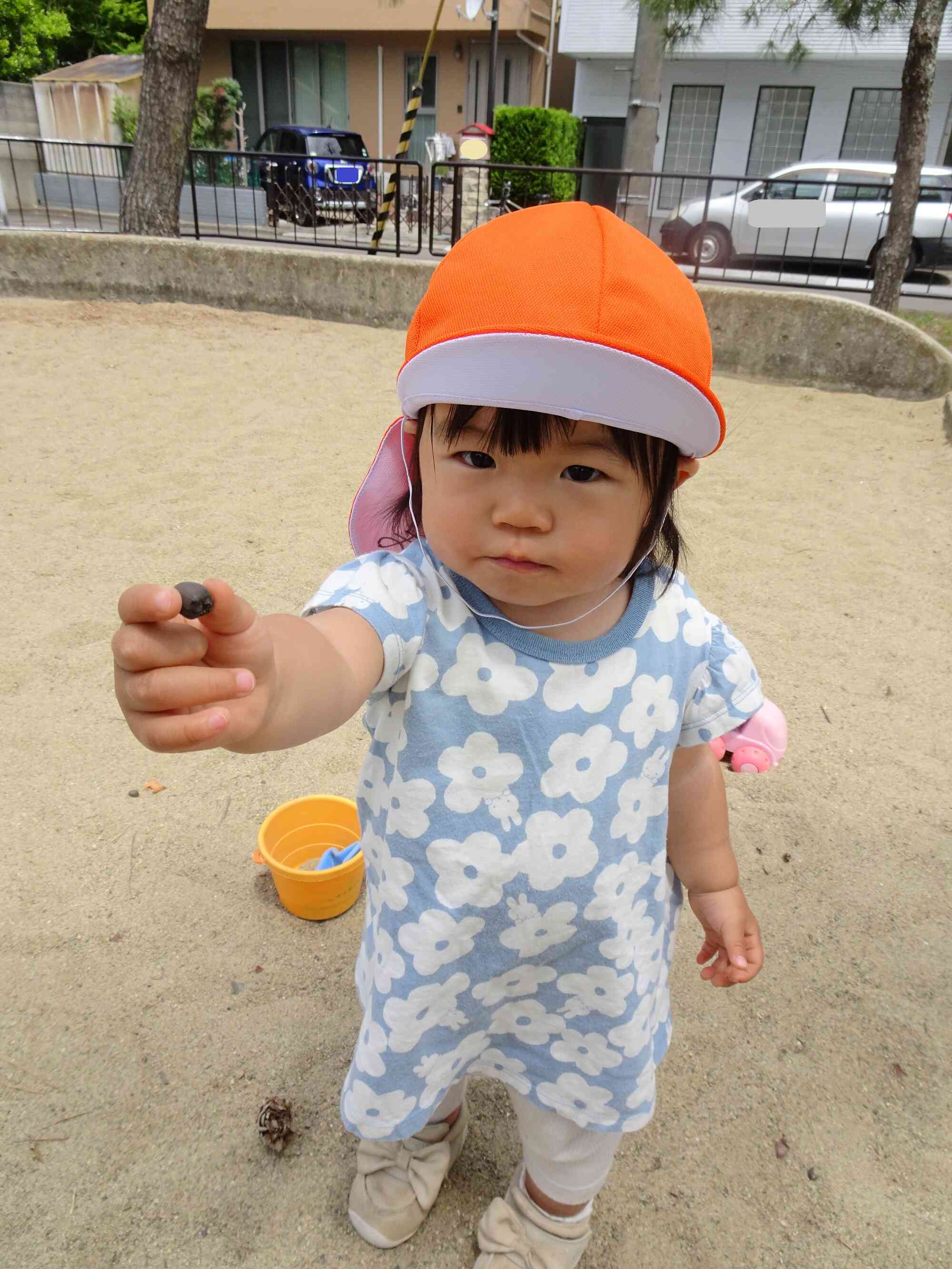 発見！！