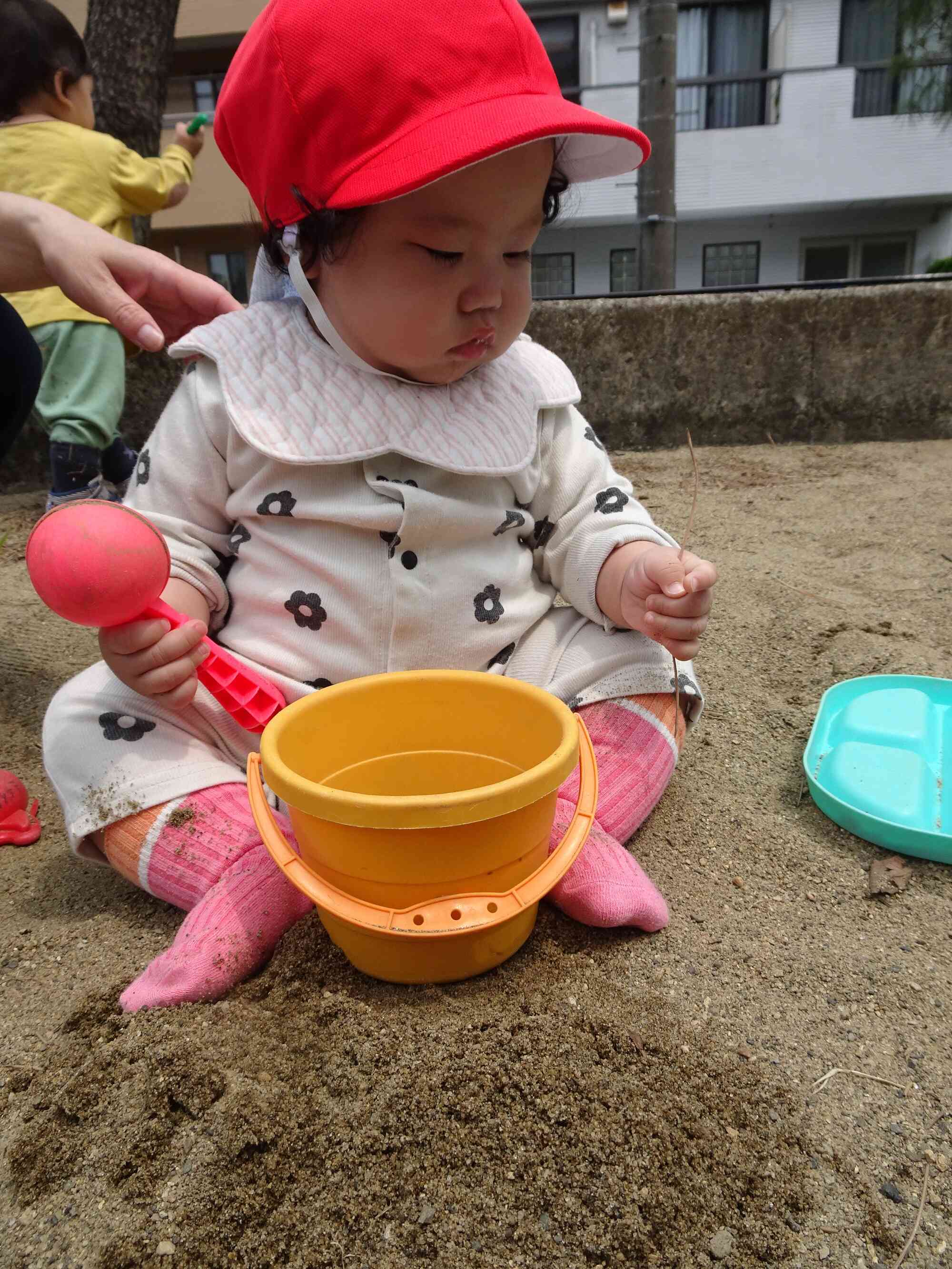 これは何だろう？