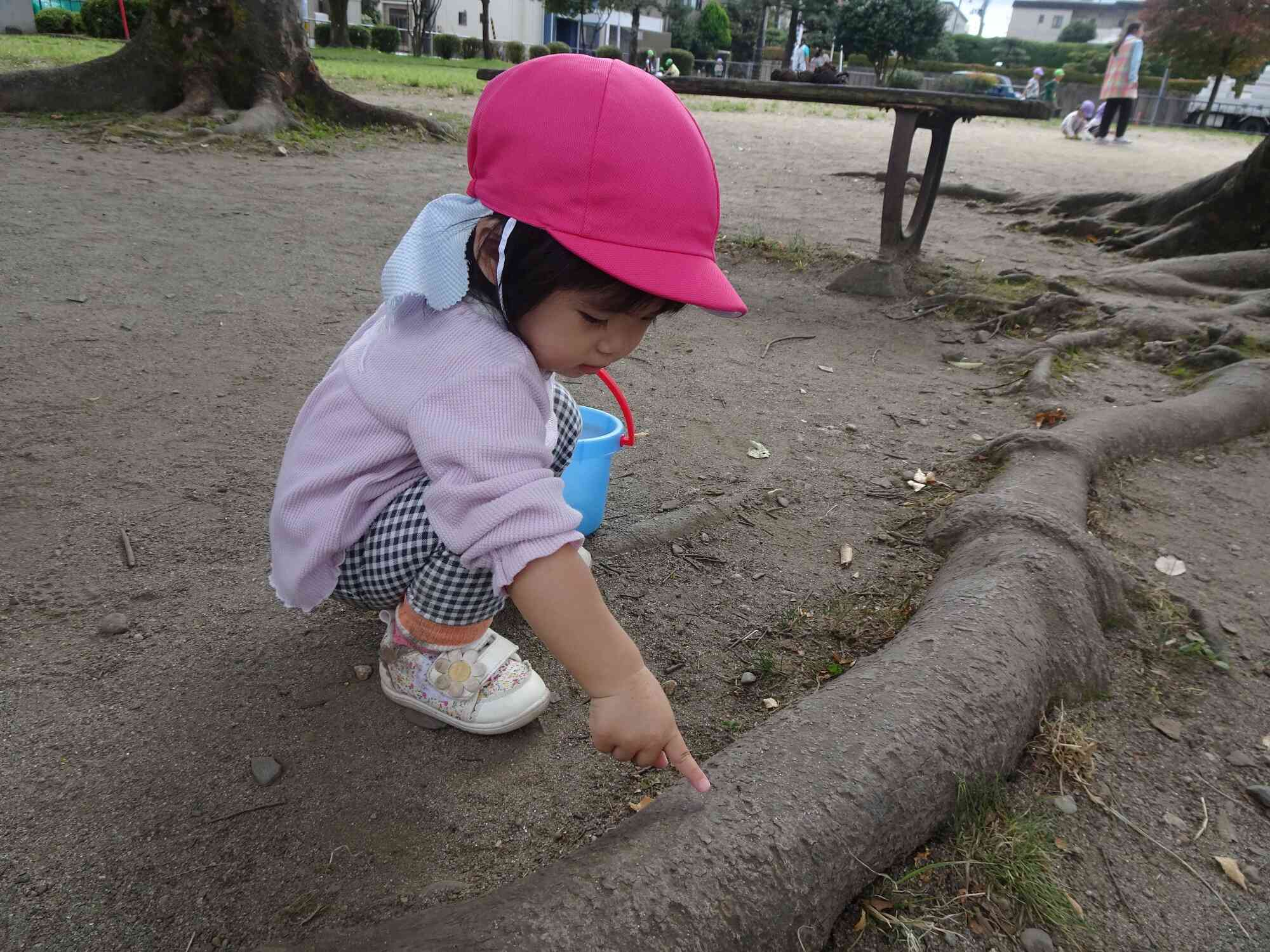 アリさんどこ行くの？