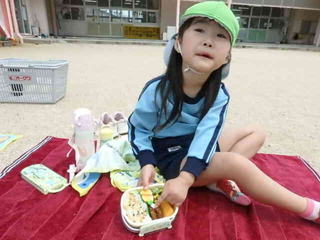 可愛いお弁当でしょ？