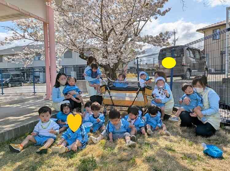 桜の前で集合写真を撮りました!