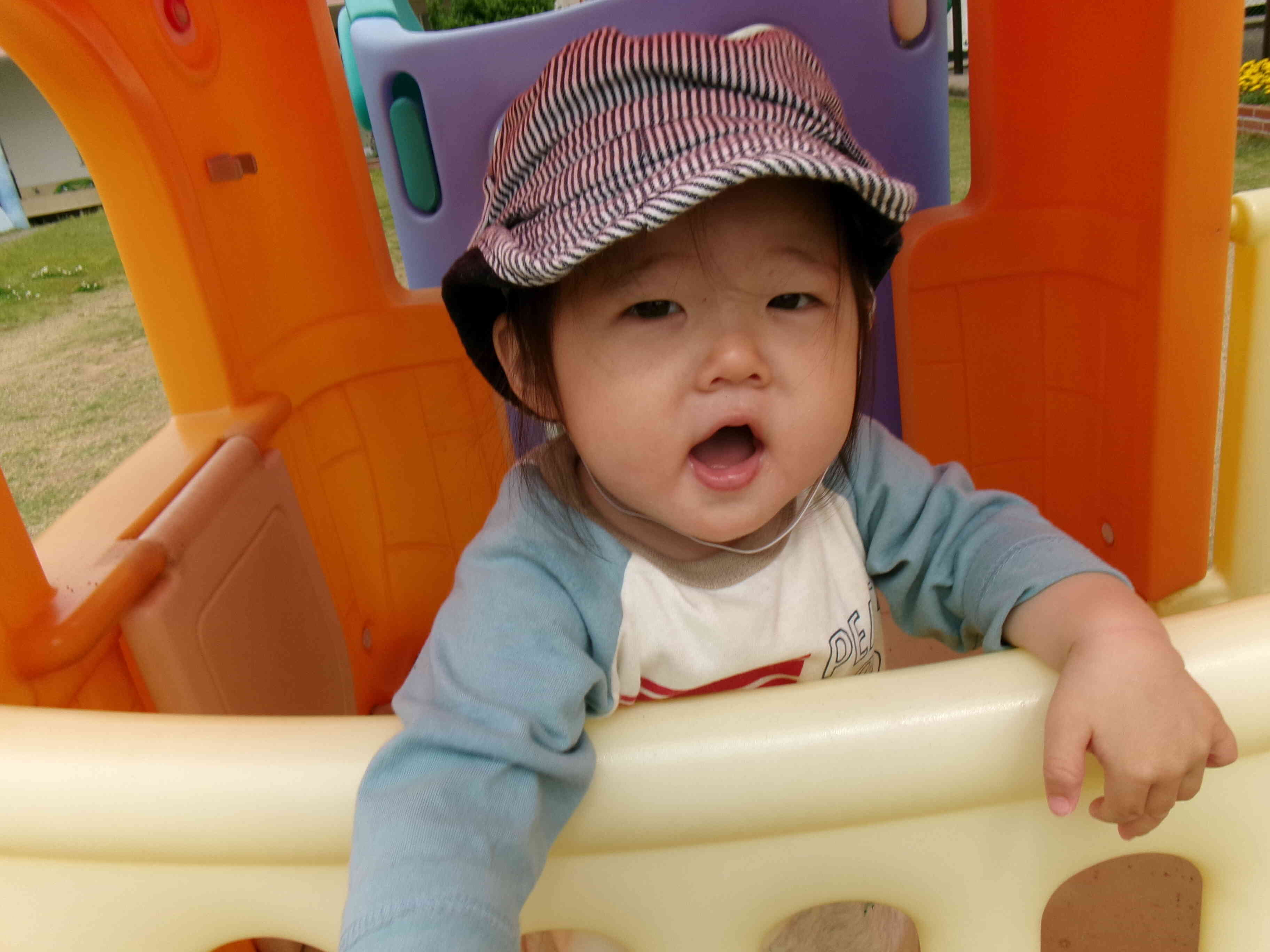 ミニハウスから可愛いお顔がひょっこり。