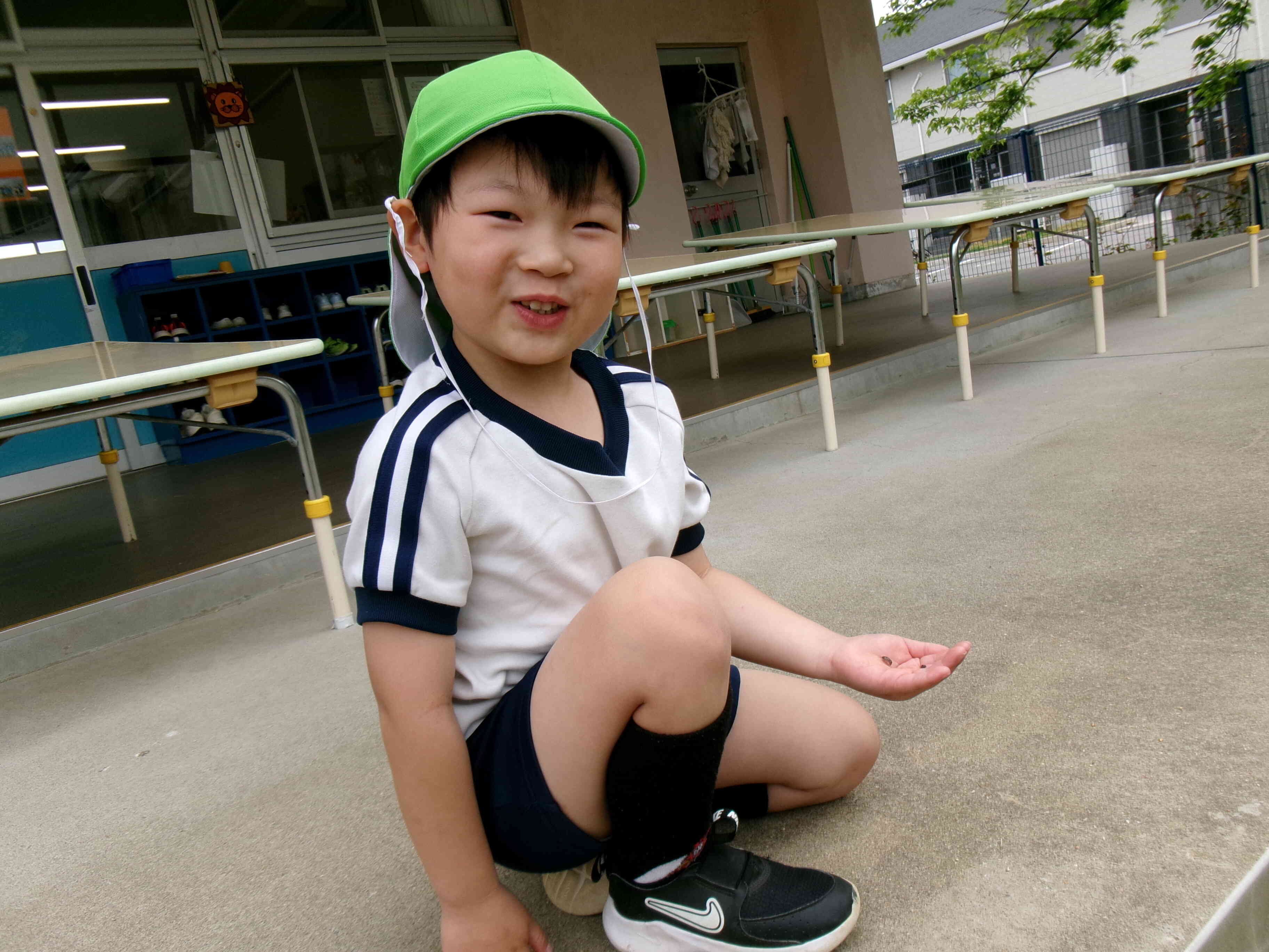 だんごむし見つけたよ~。