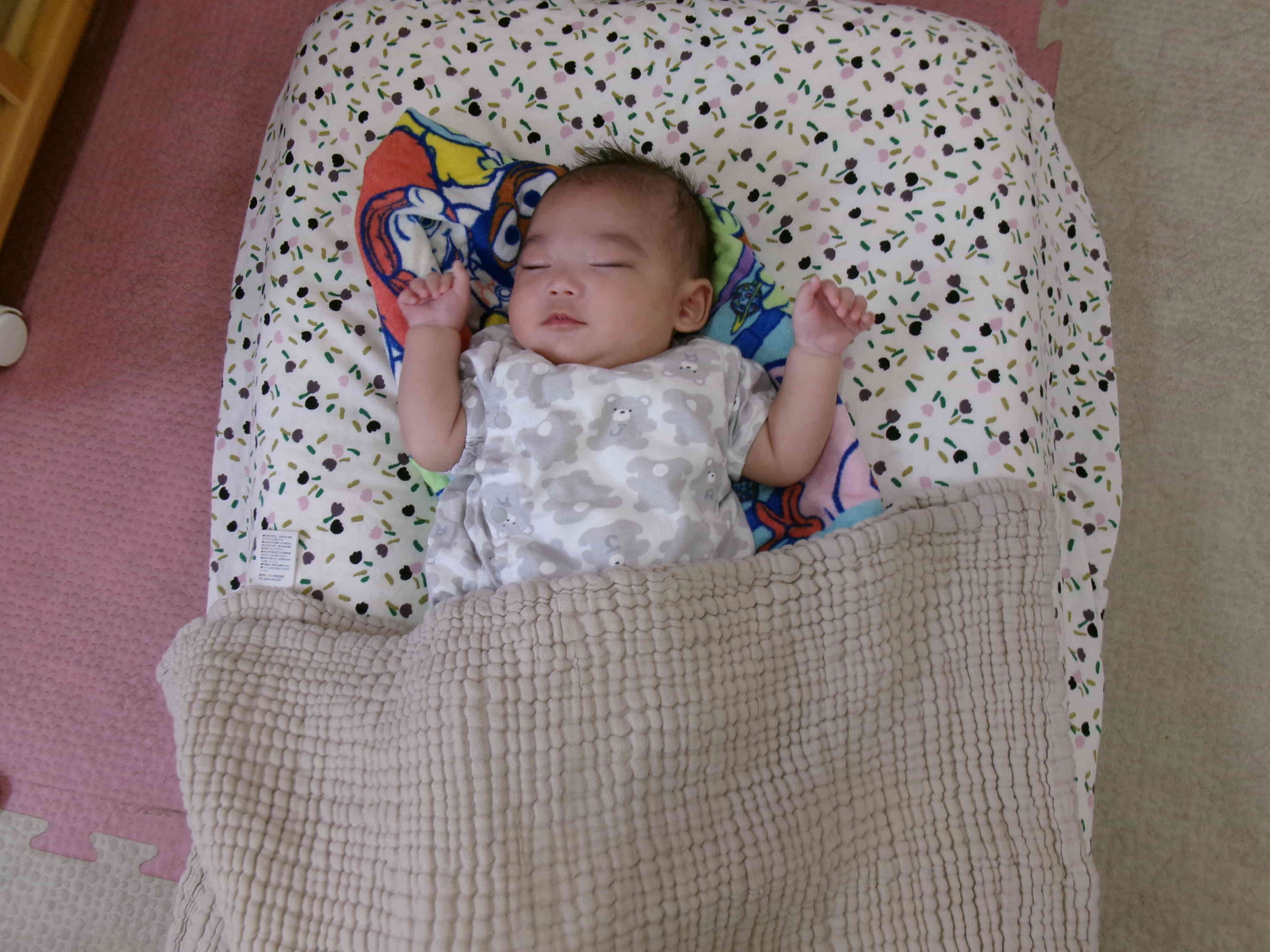 初めまして。5月に入った新しいお友だちです!