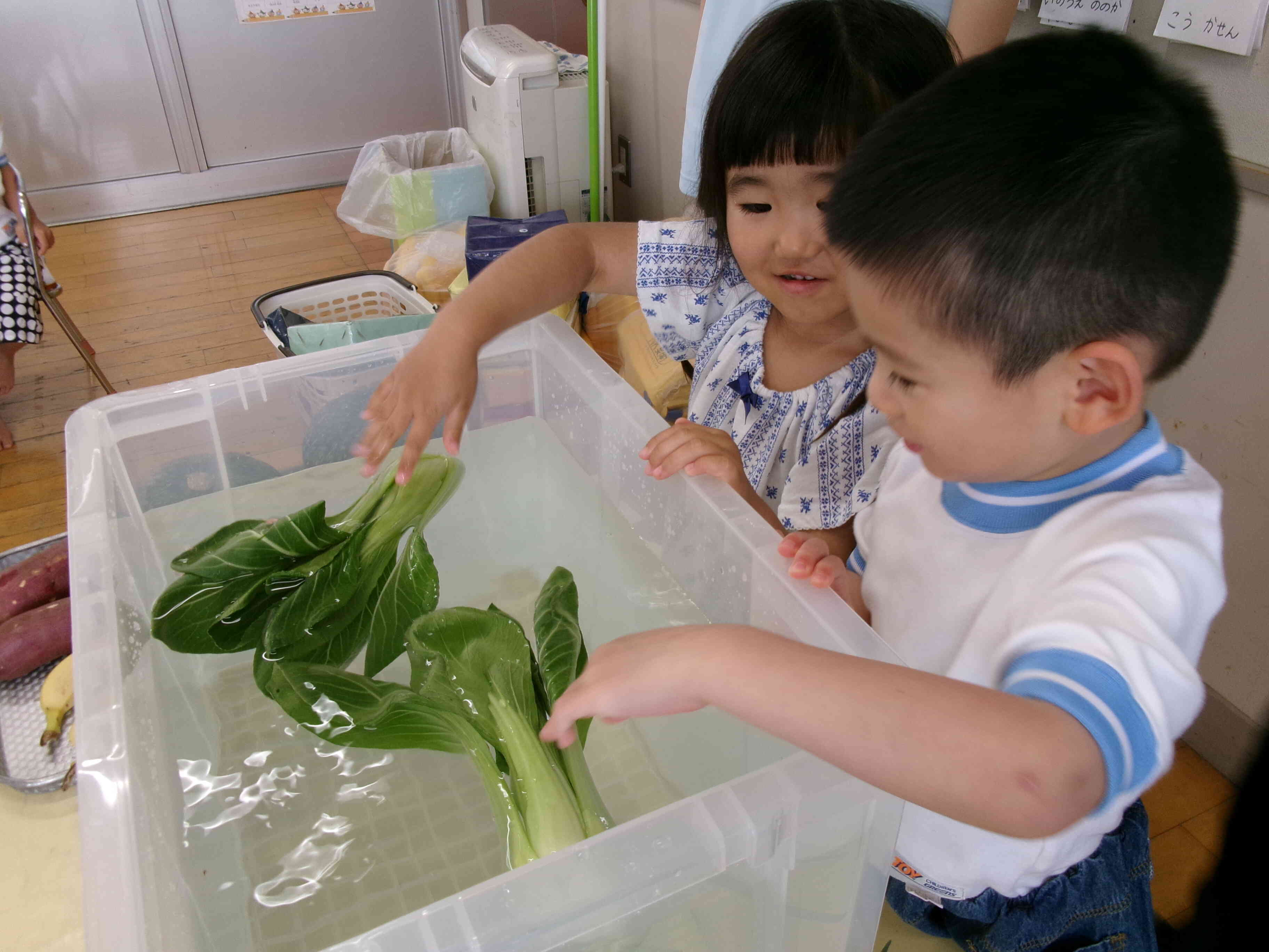 ぷかぷか浮いてるよ