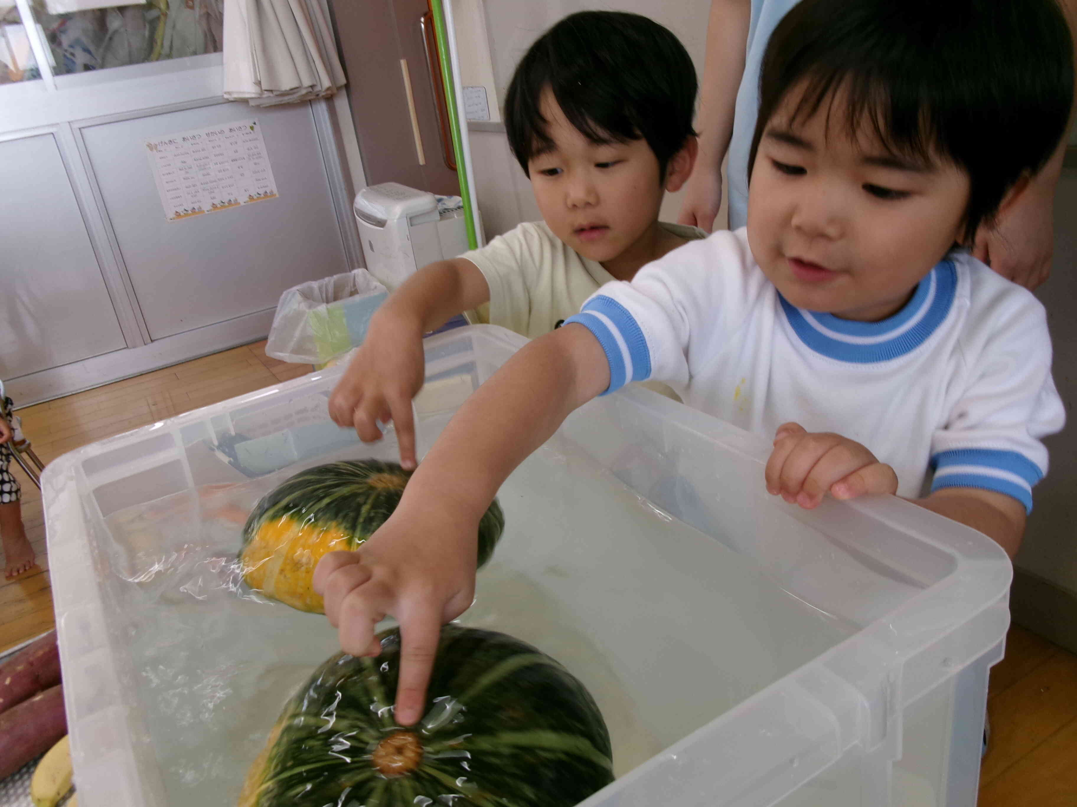 ＜食育＞この野菜浮くかな？沈むかな？
