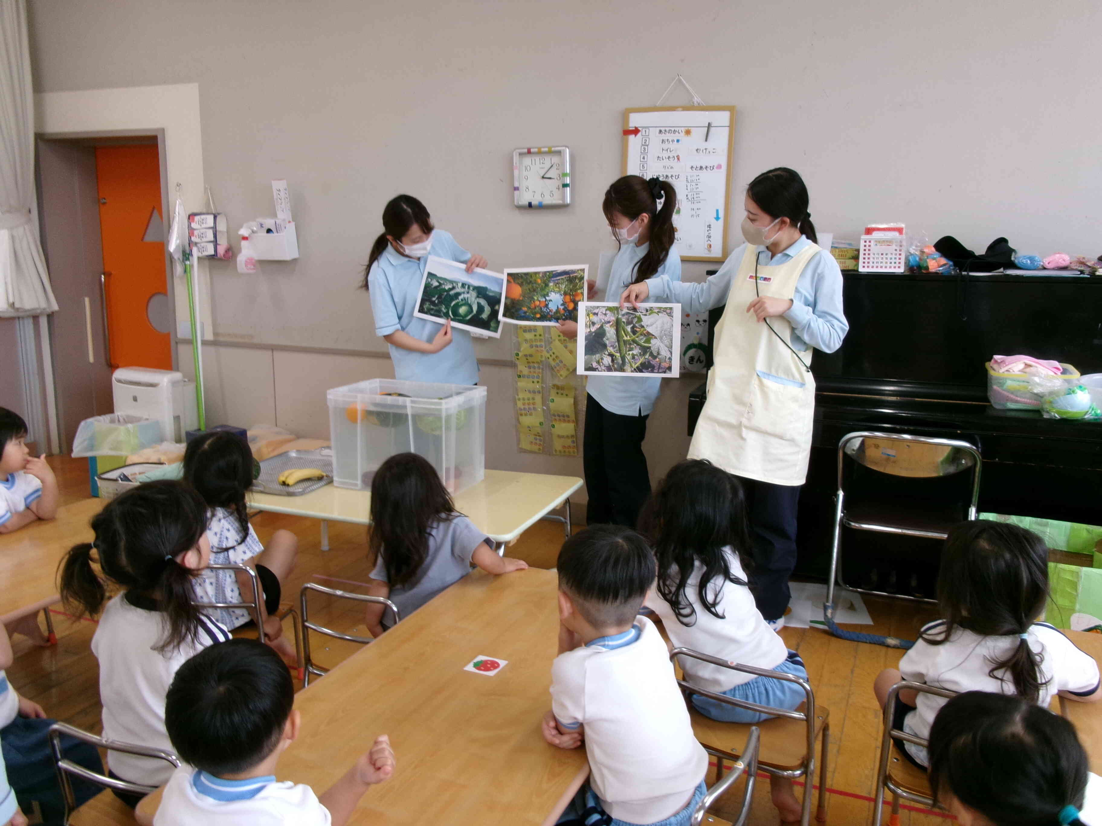 野菜の不思議