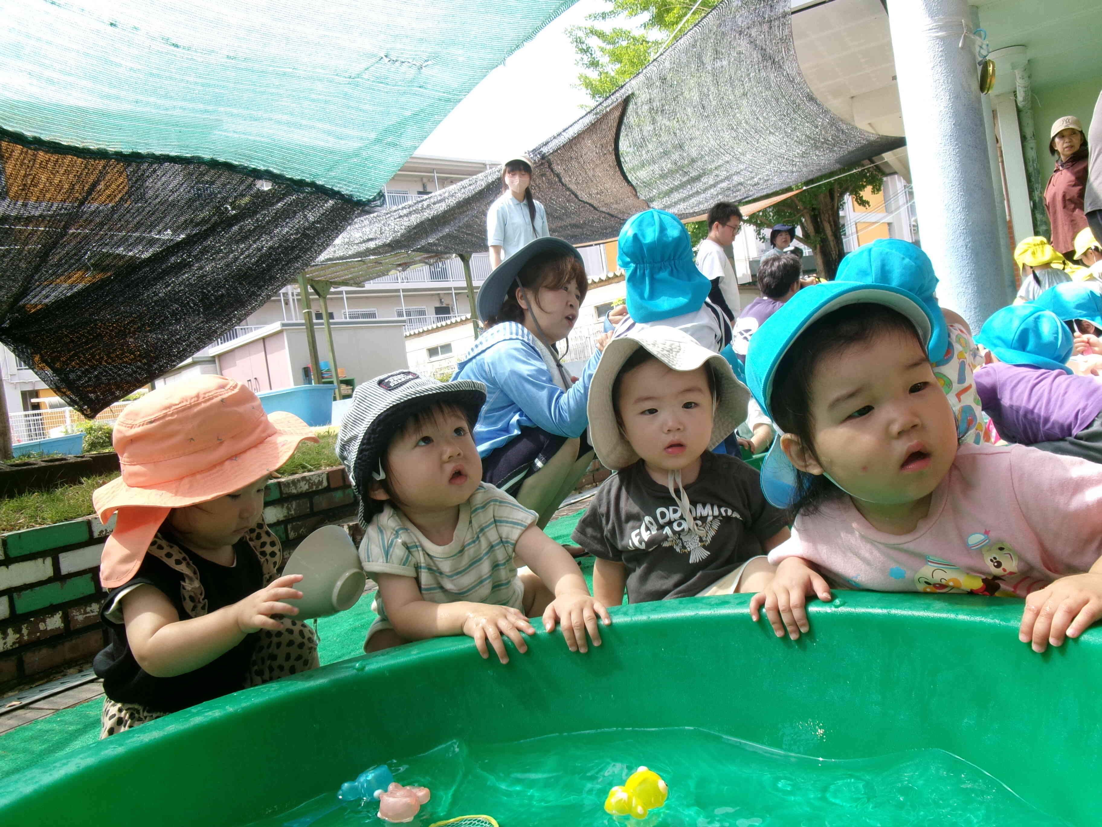 初めての水遊びで、これは何かな？？と不思議そうに見ています。