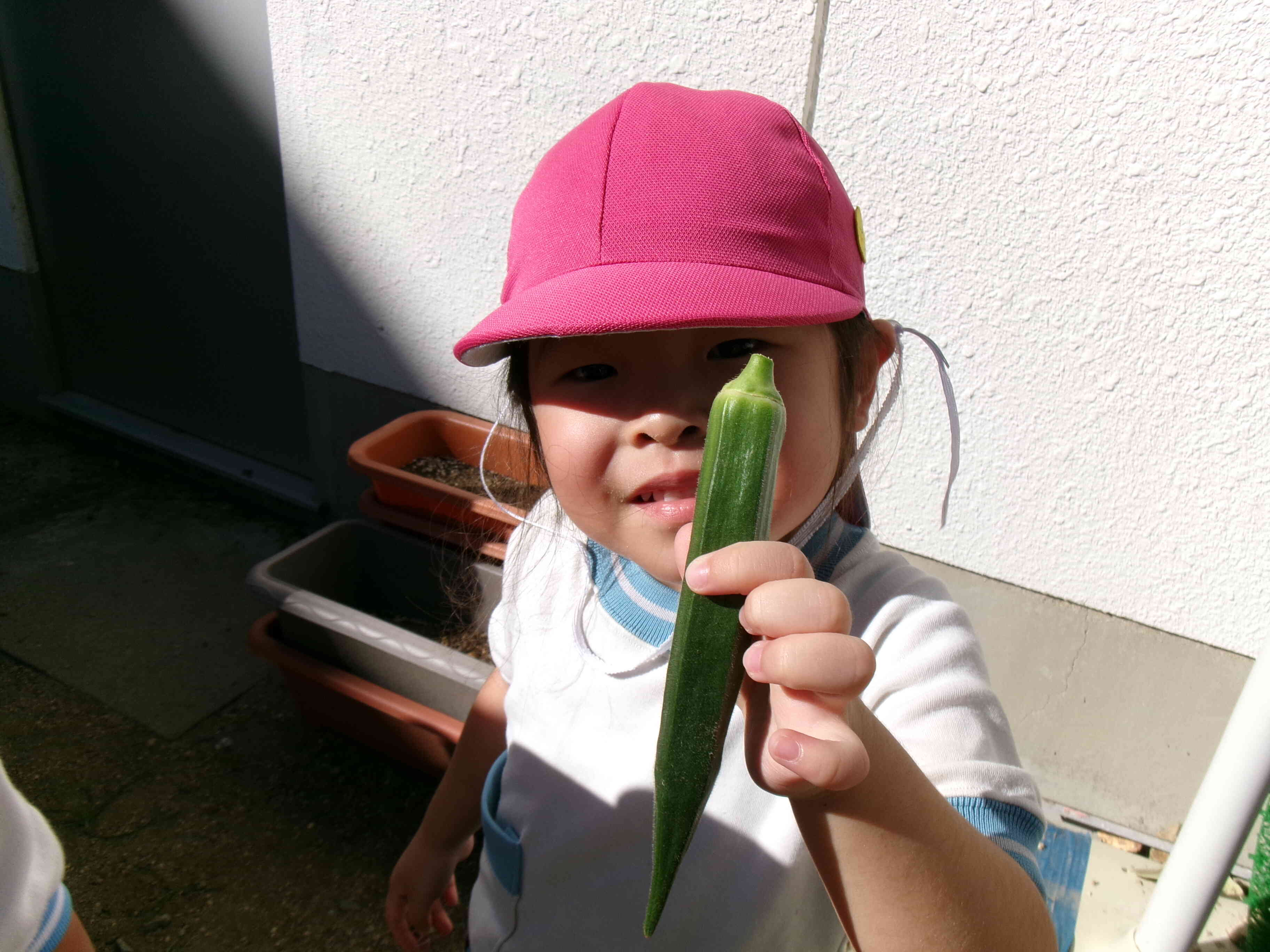 手で持ってみるとおっきいね☆