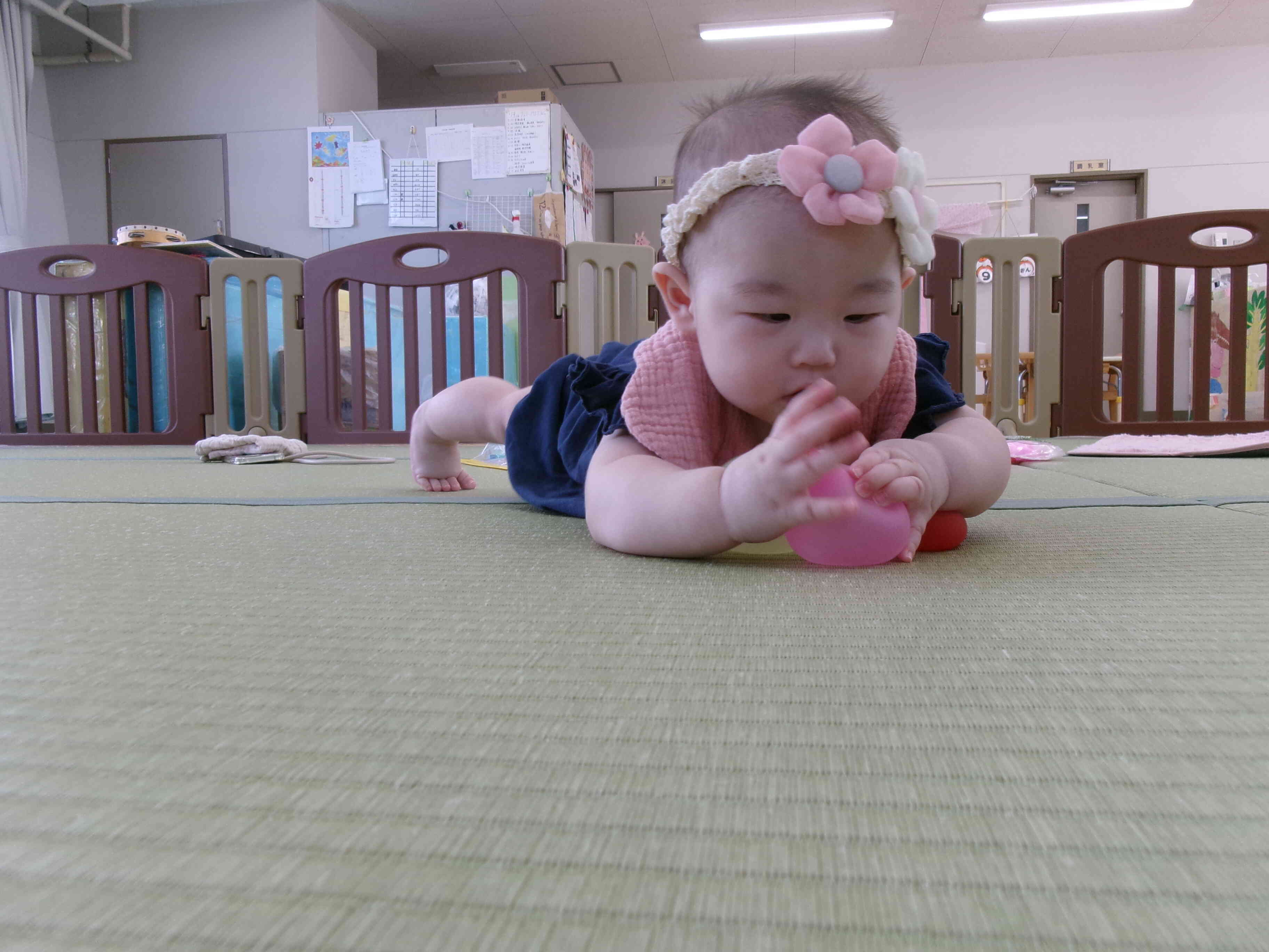 これは何かな~？？