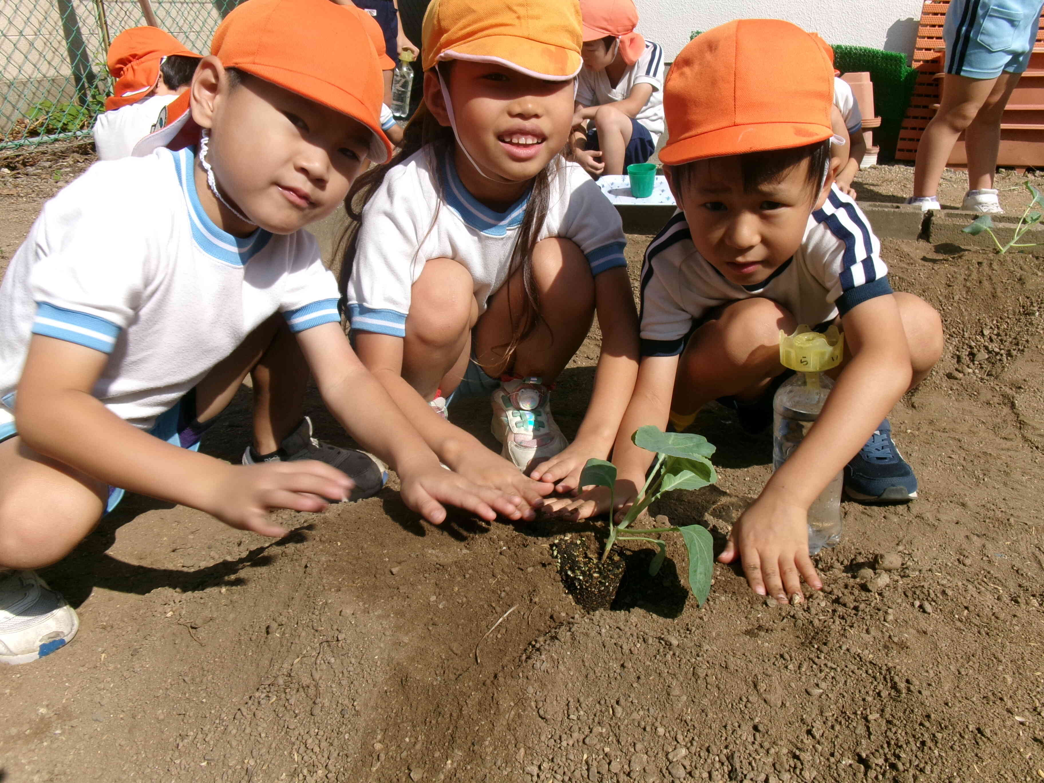 大きくなーれ。