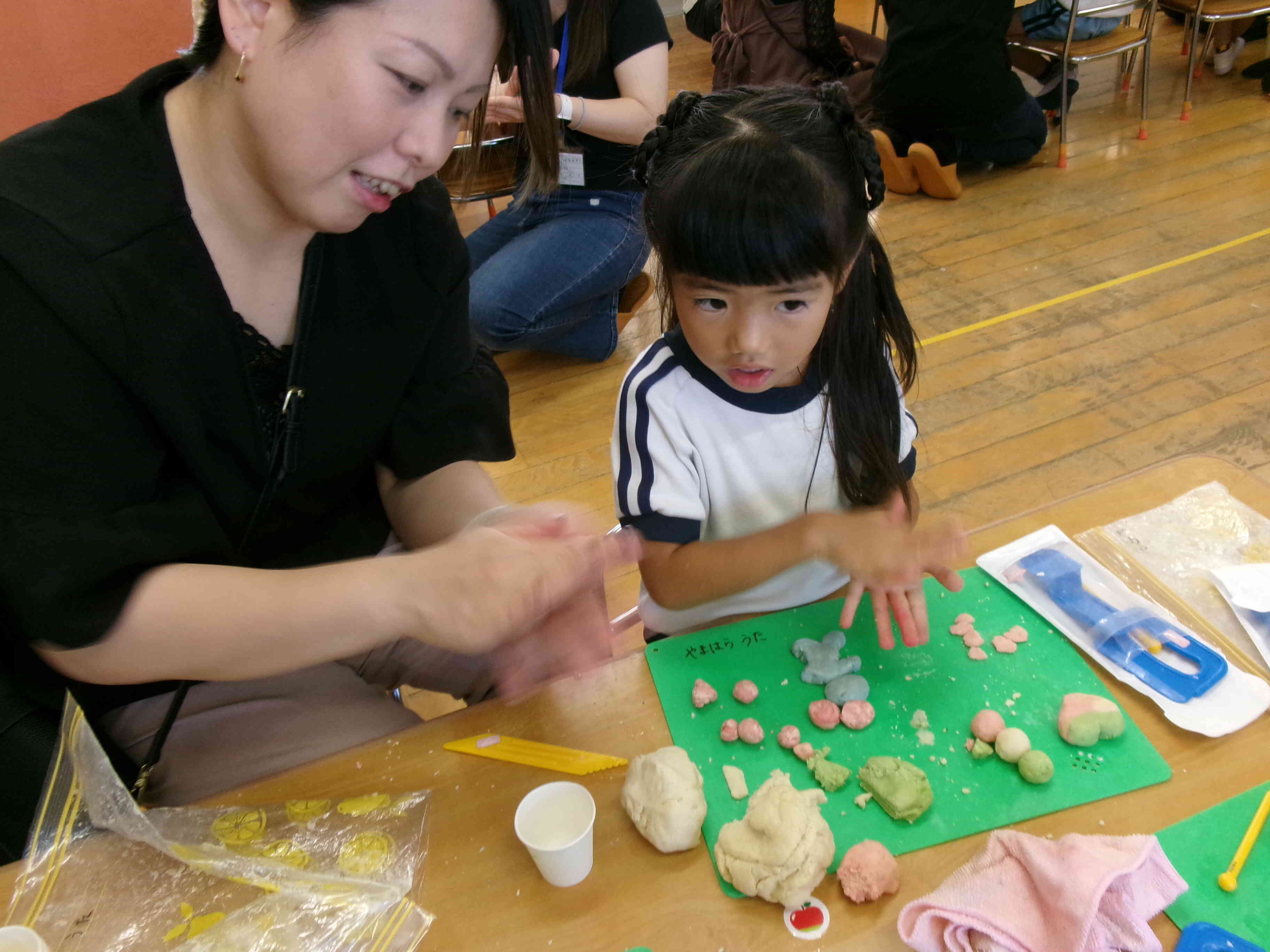 おうちの人と遊んだよ