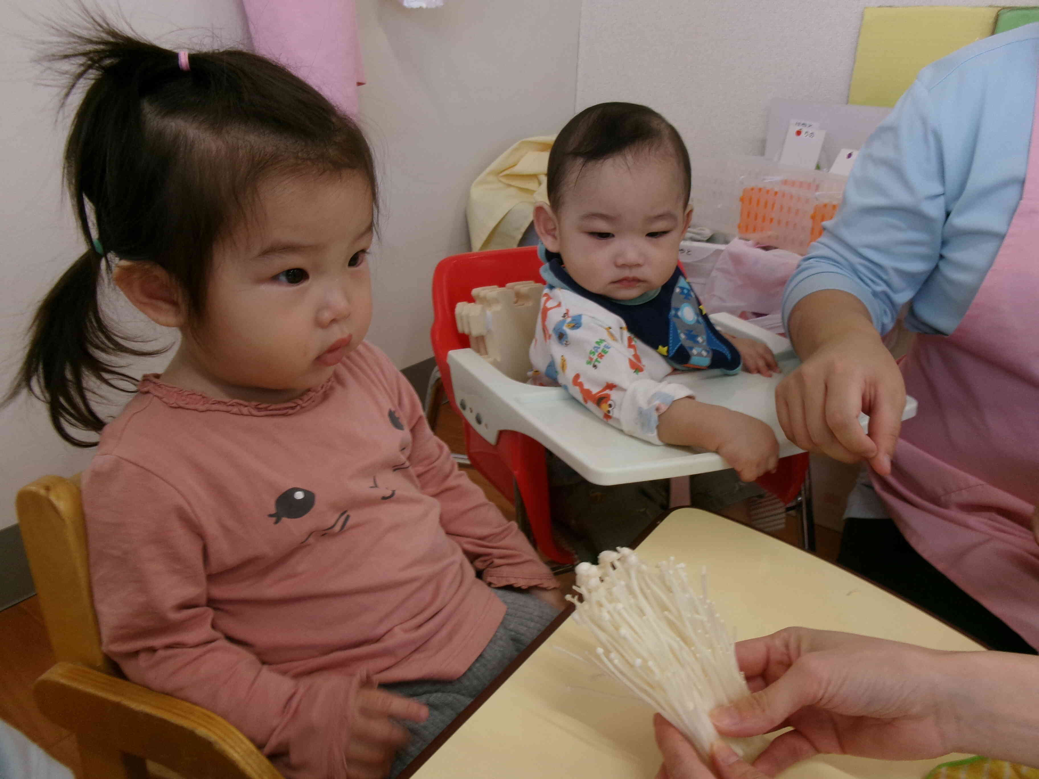 【食育】きのこちぎり