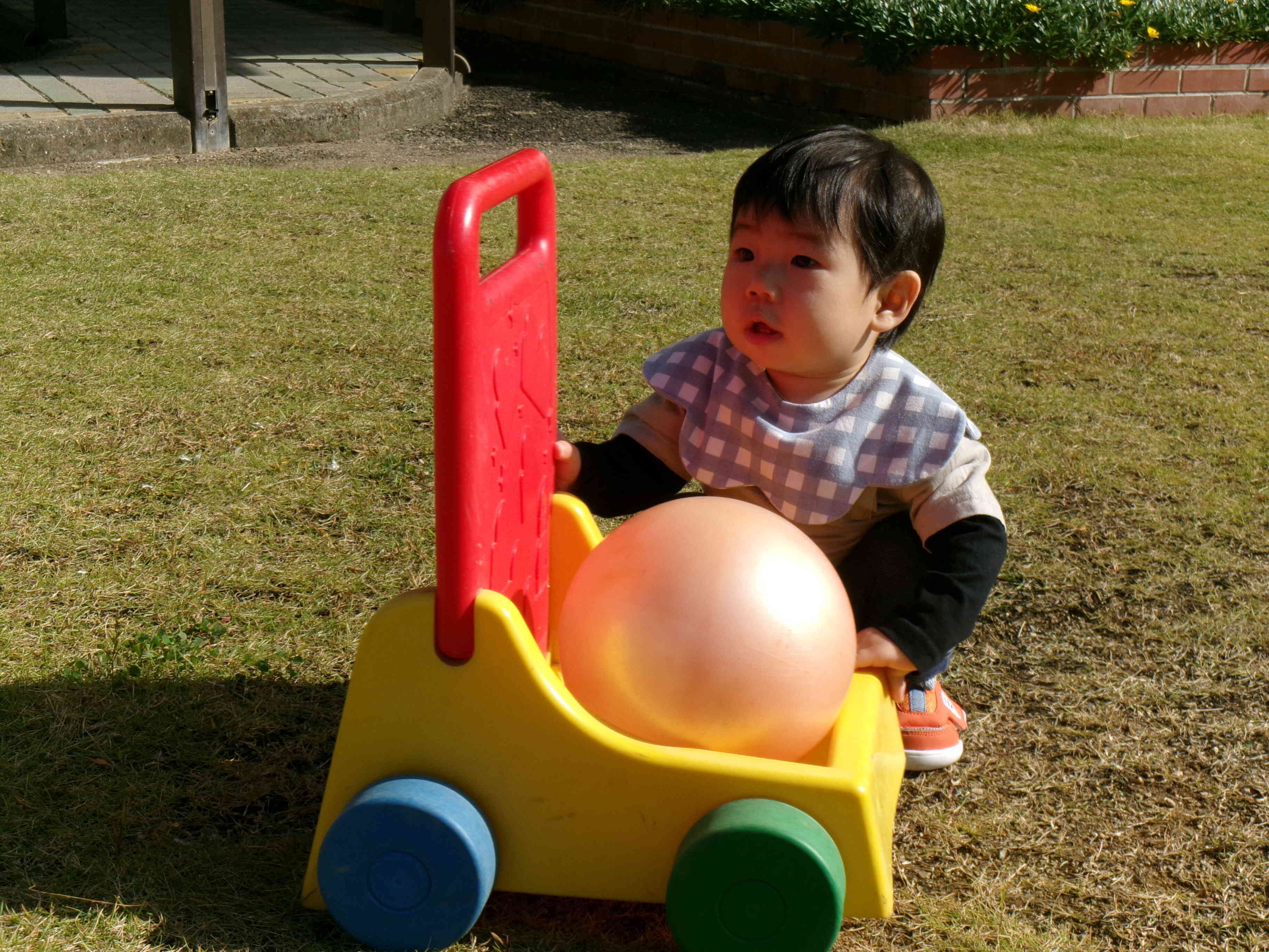 手押し車に興味津々。ボールもあるし、どうしようかな？？