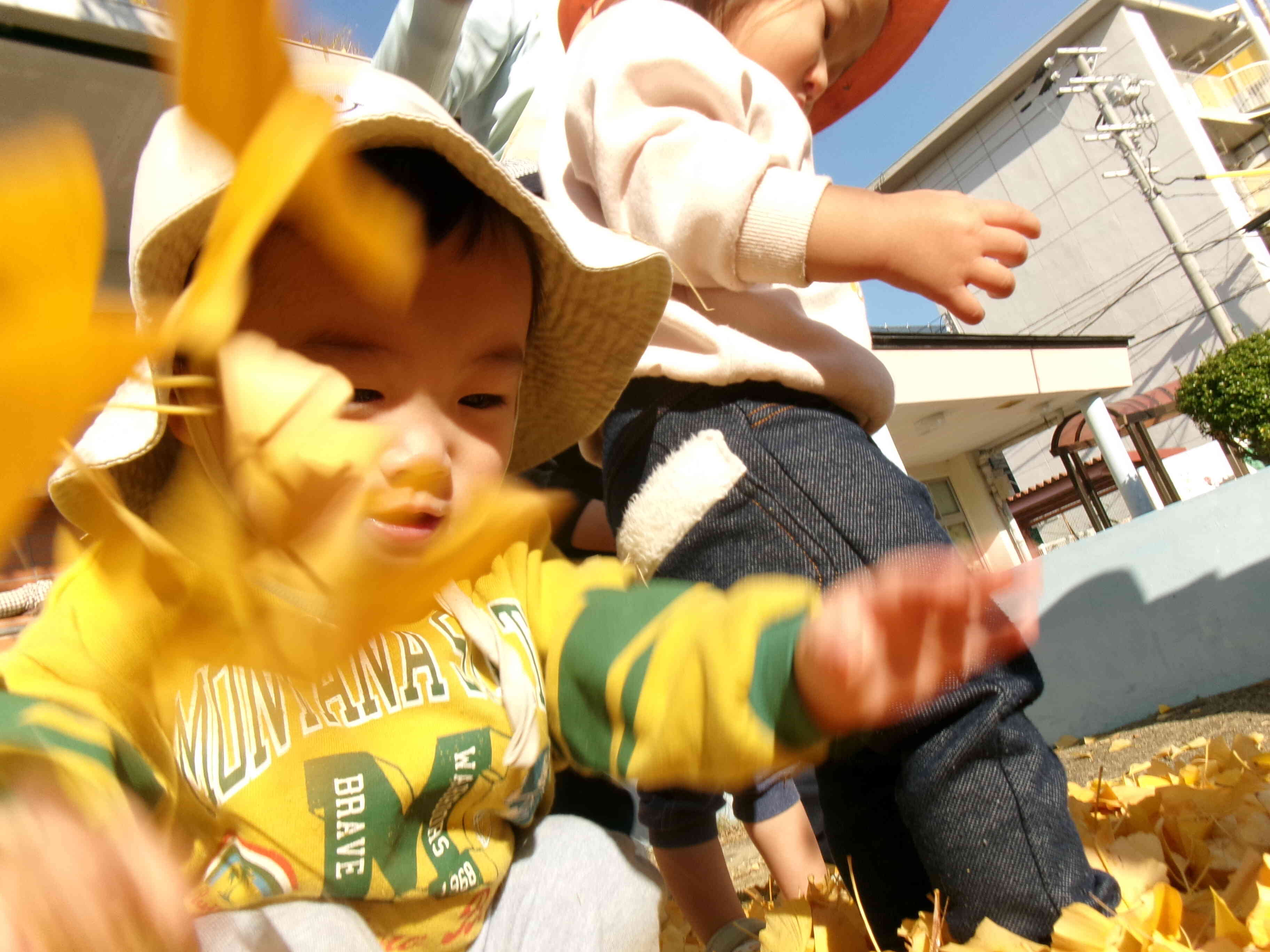 夢中で遊んでいたよ♪楽しそうだね。