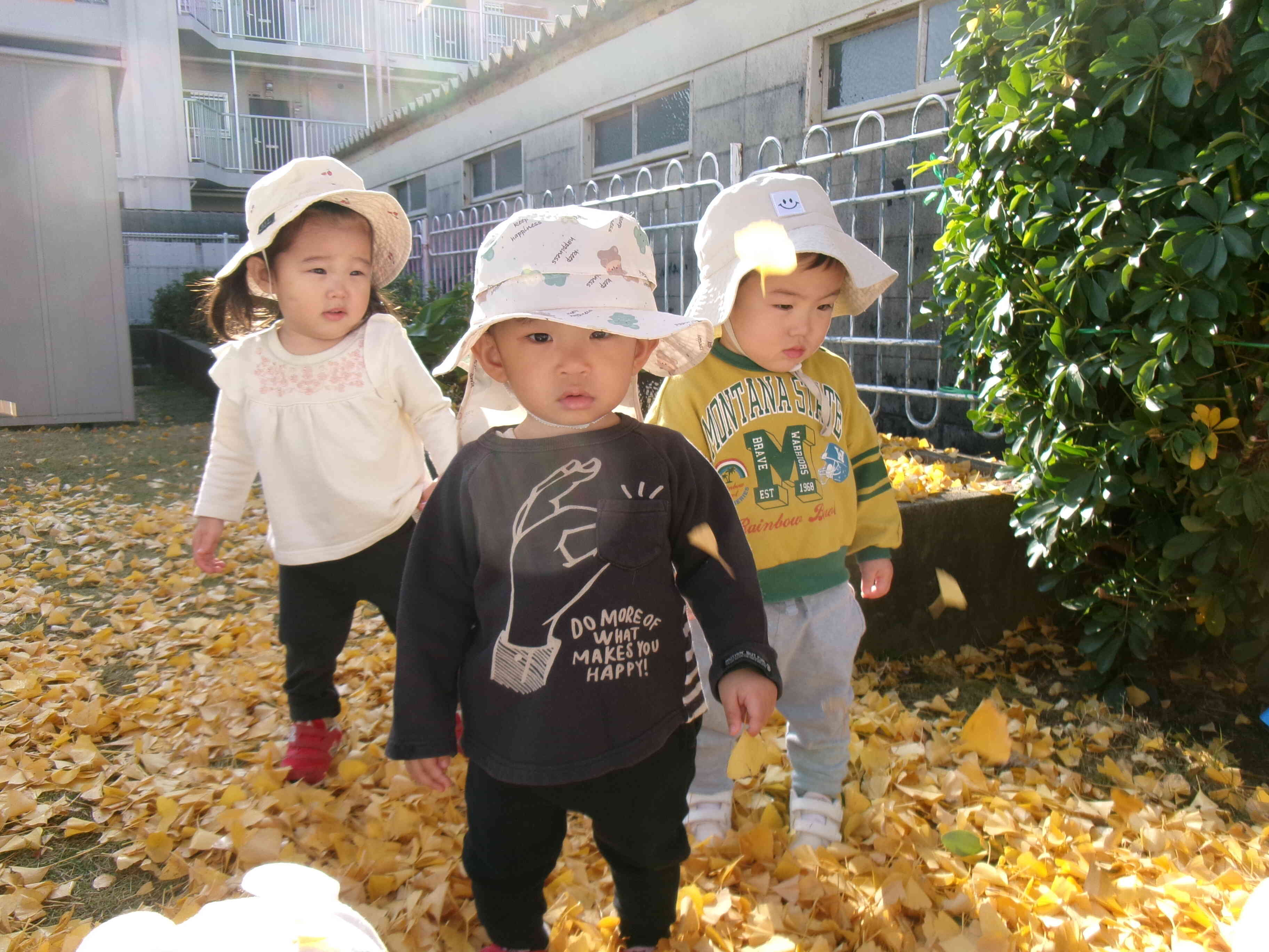 イチョウの葉の上を歩いたよ。