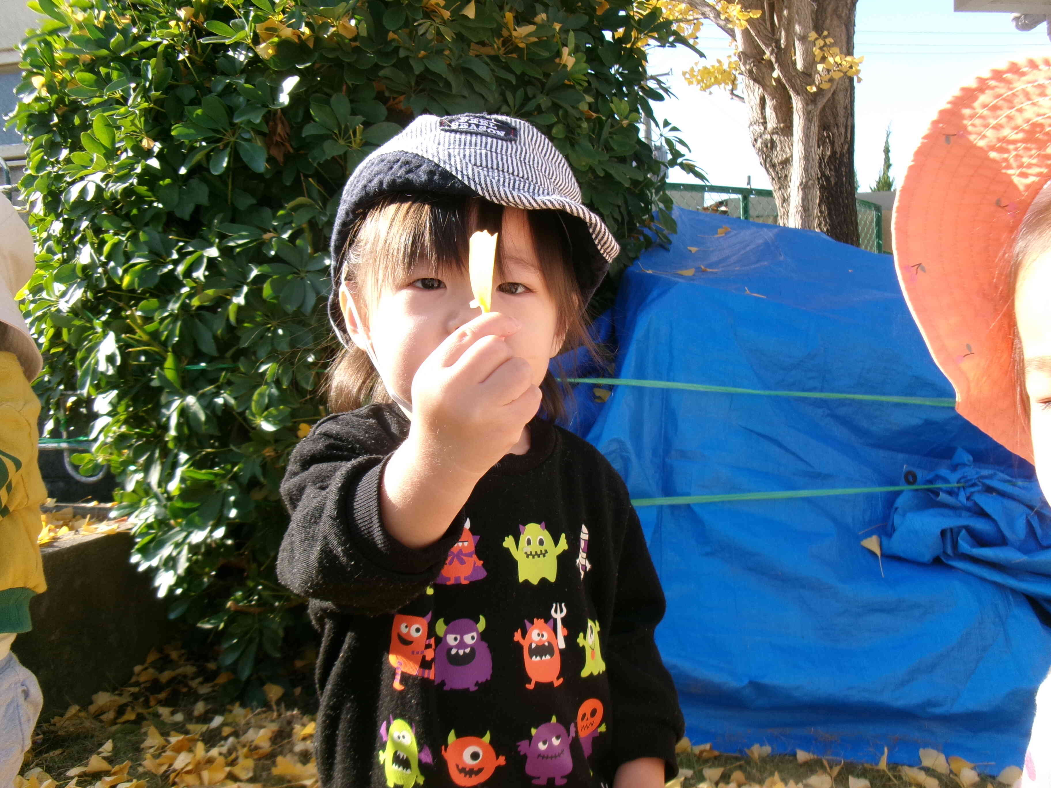 拾った葉っぱを見せてくれたよ！