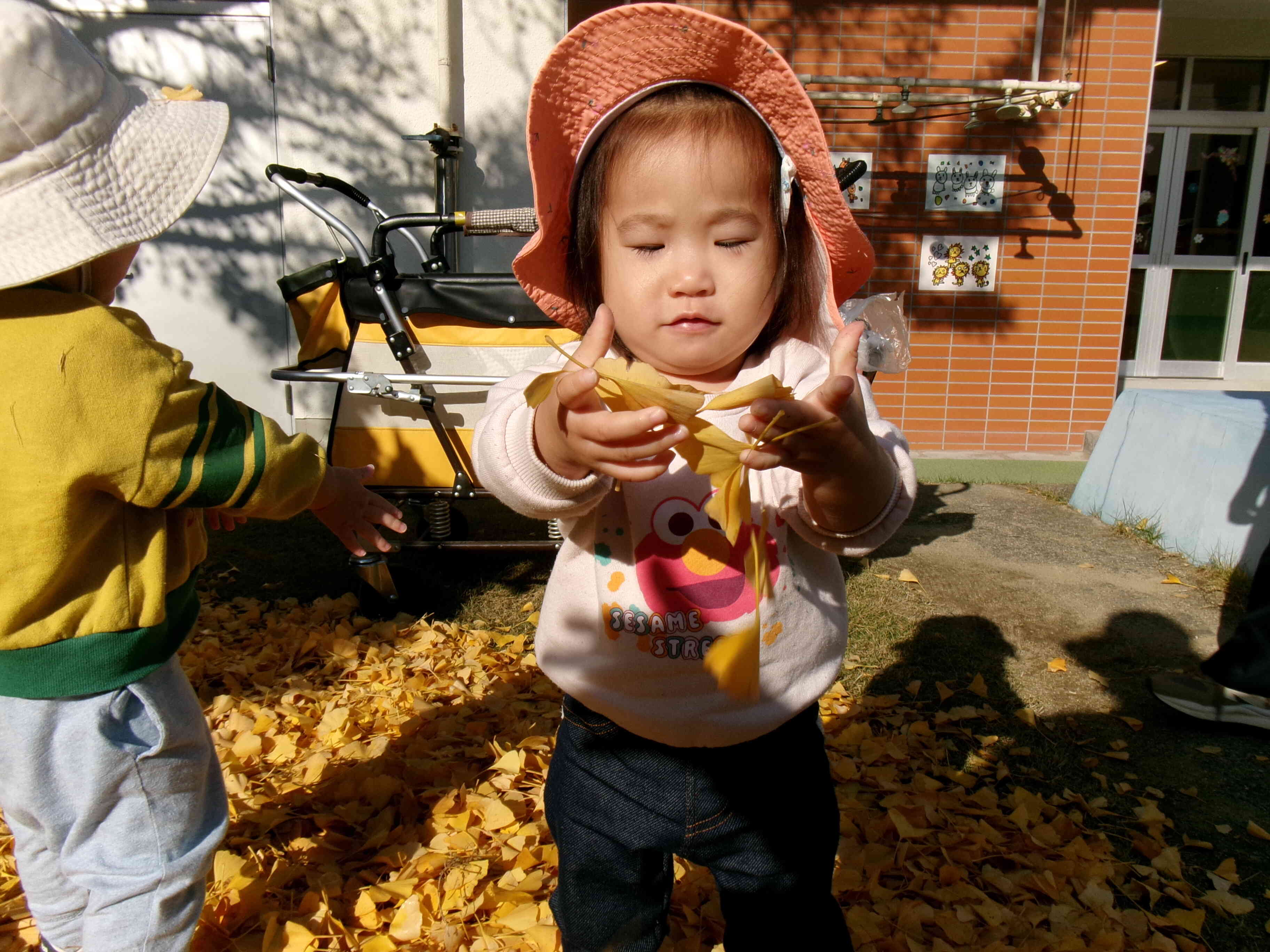 イチョウの葉がたくさんあったよ。