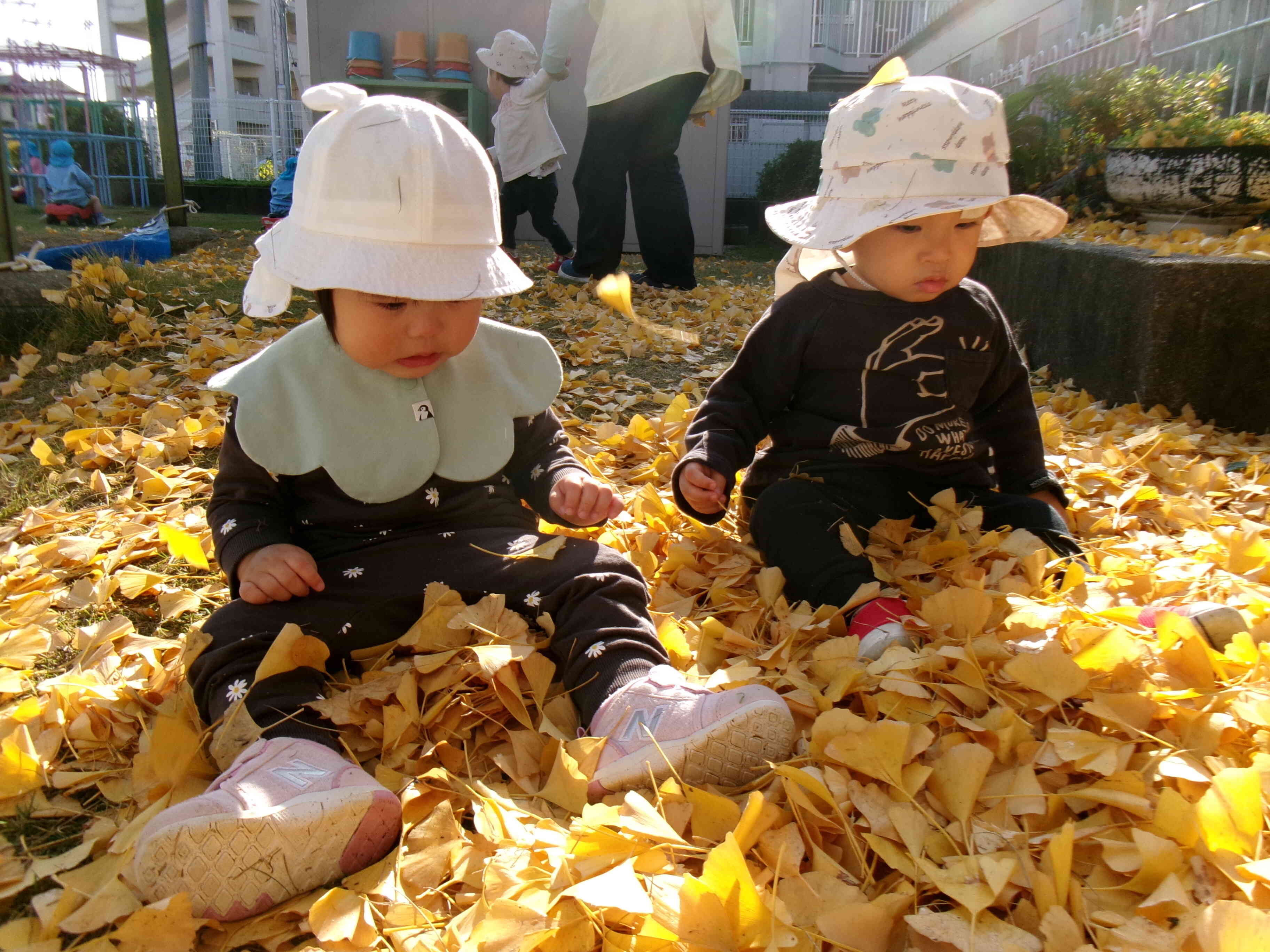 イチョウの葉っぱの上に座ったよ。