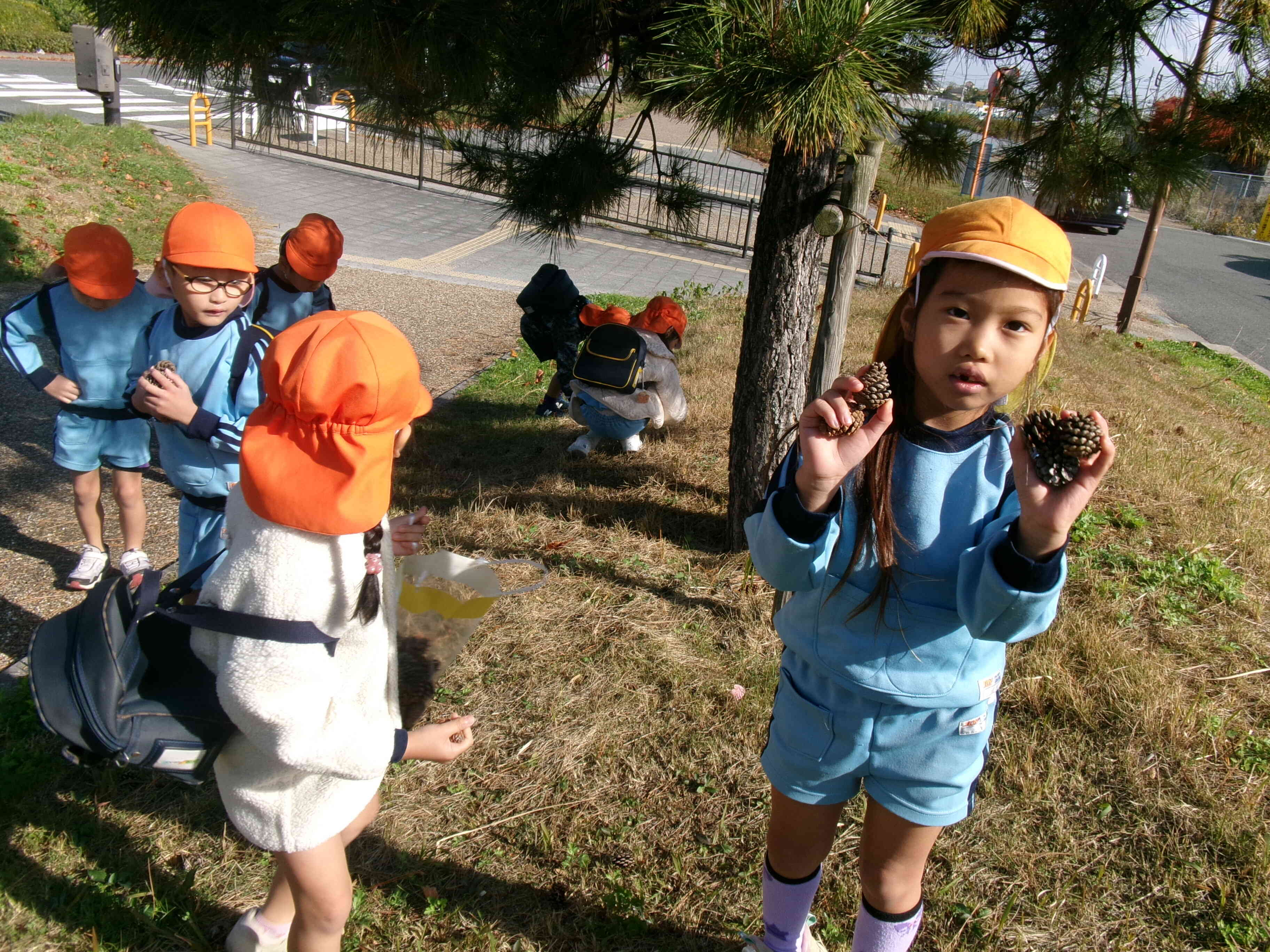 見て、いっぱい拾ったよ。