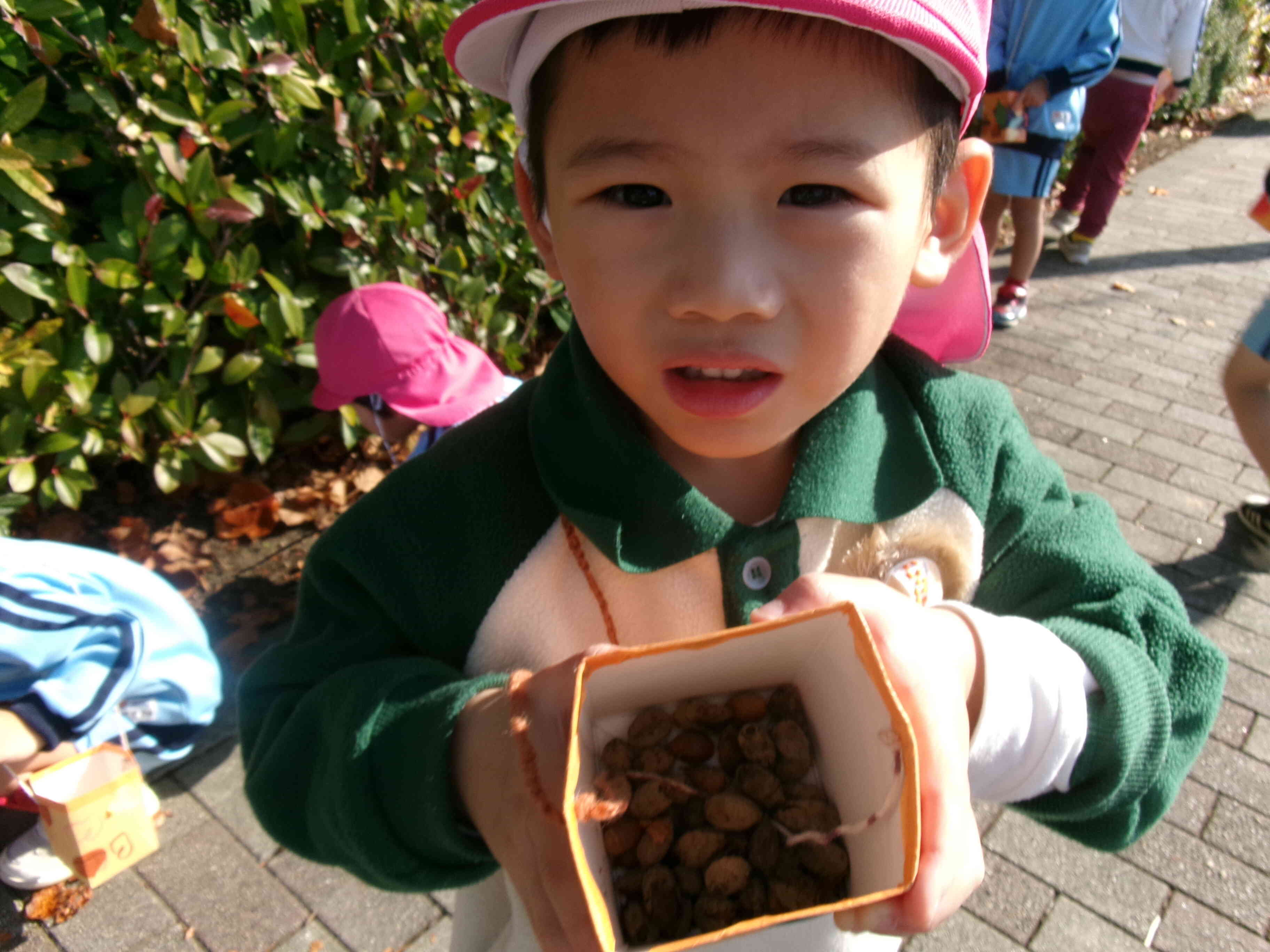 こんなにもどんぐりを集めたよ