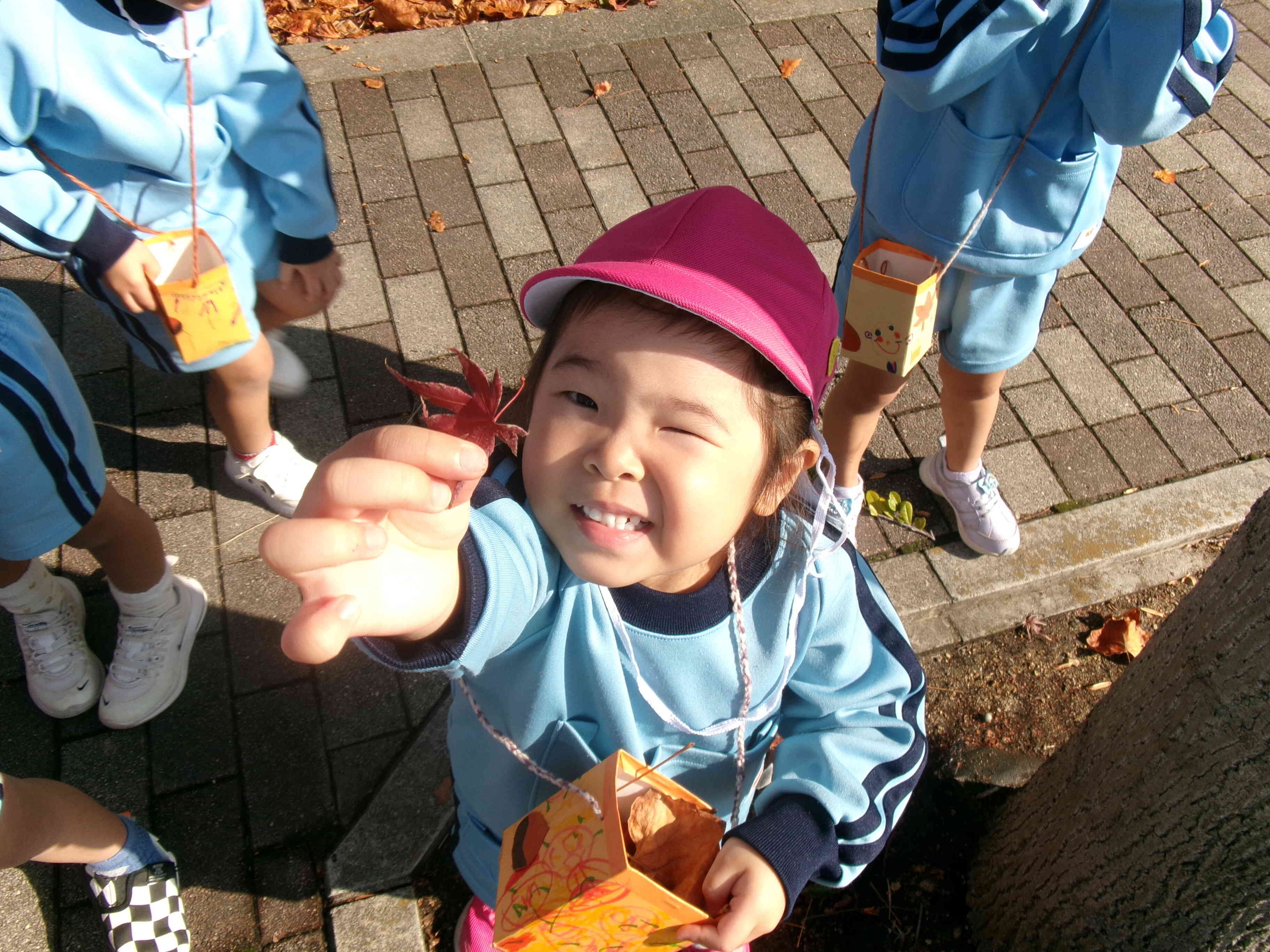 【ぱんだ組】秋探しをしました～おもいっきりSTEAM～