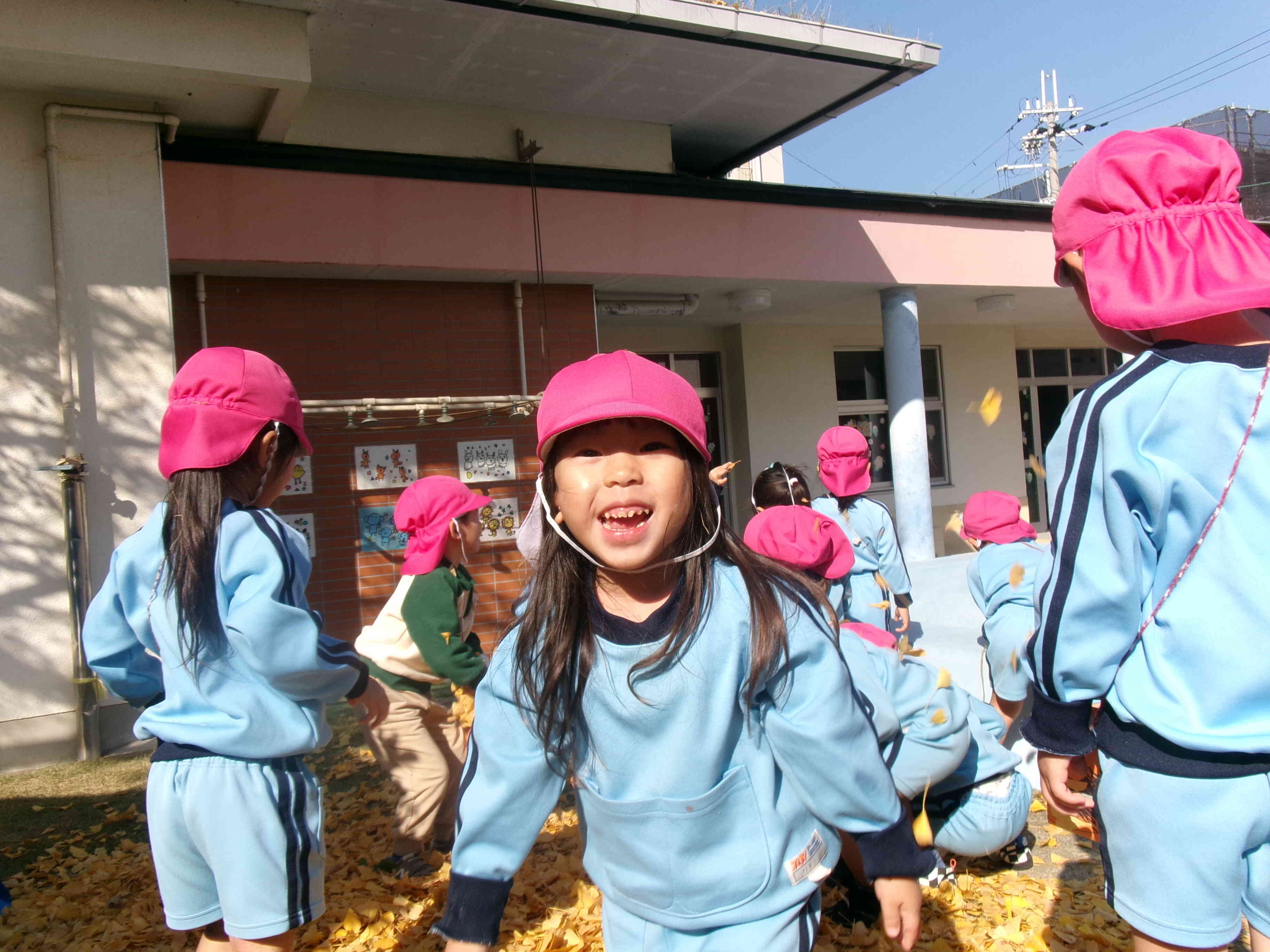 イチョウの葉がいっぱ～い