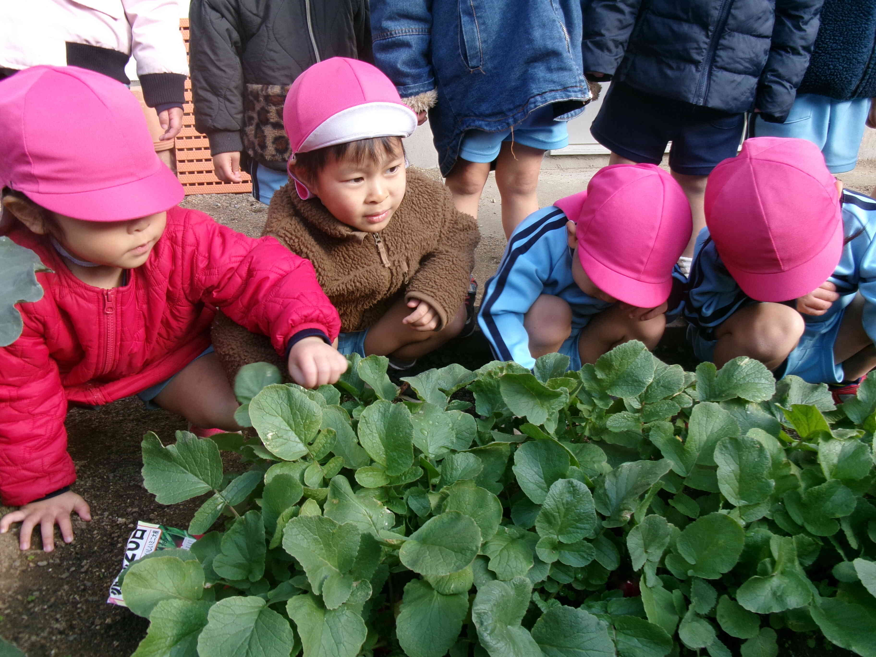 どれにしようかな～