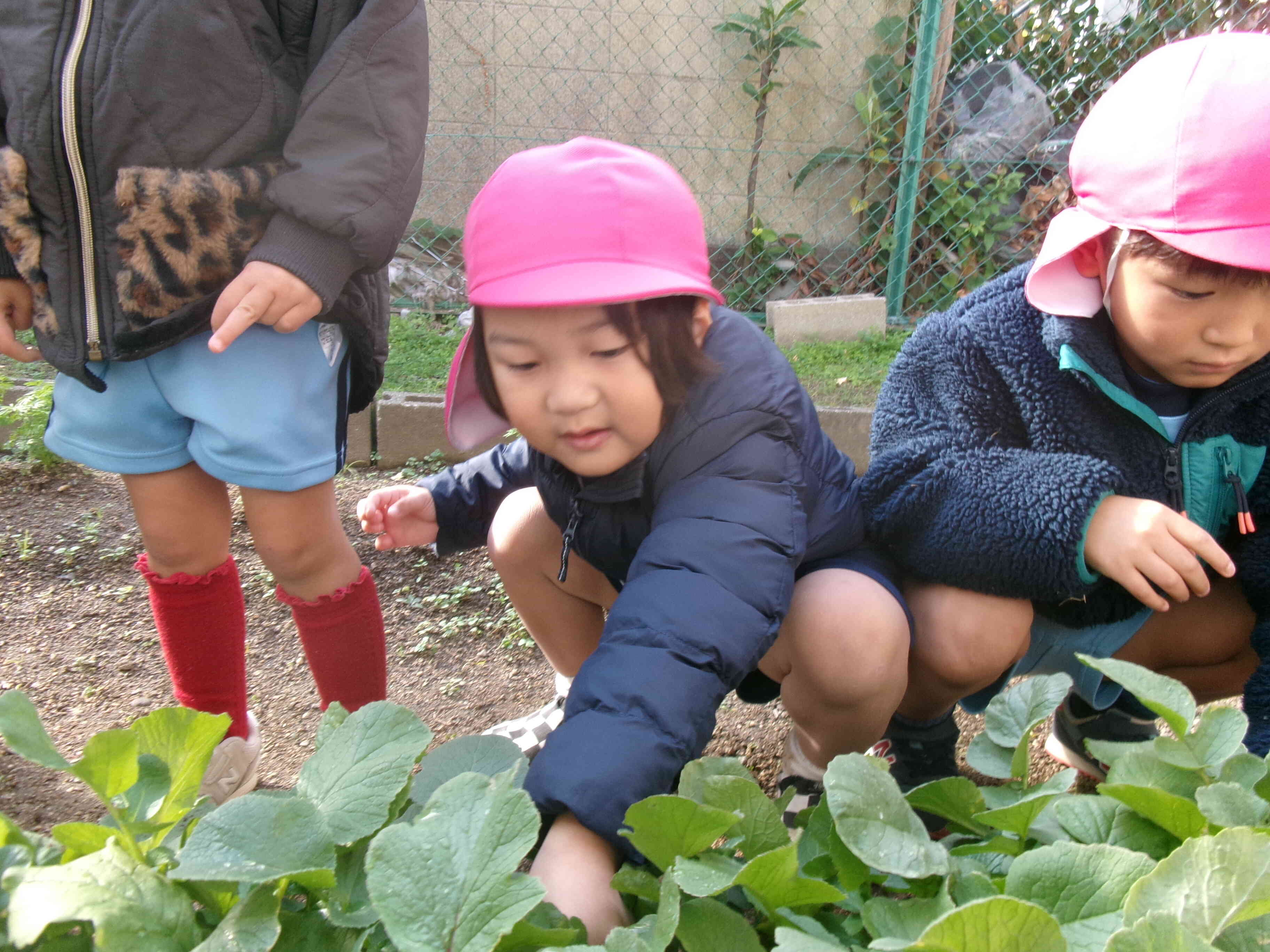 これにしよう！