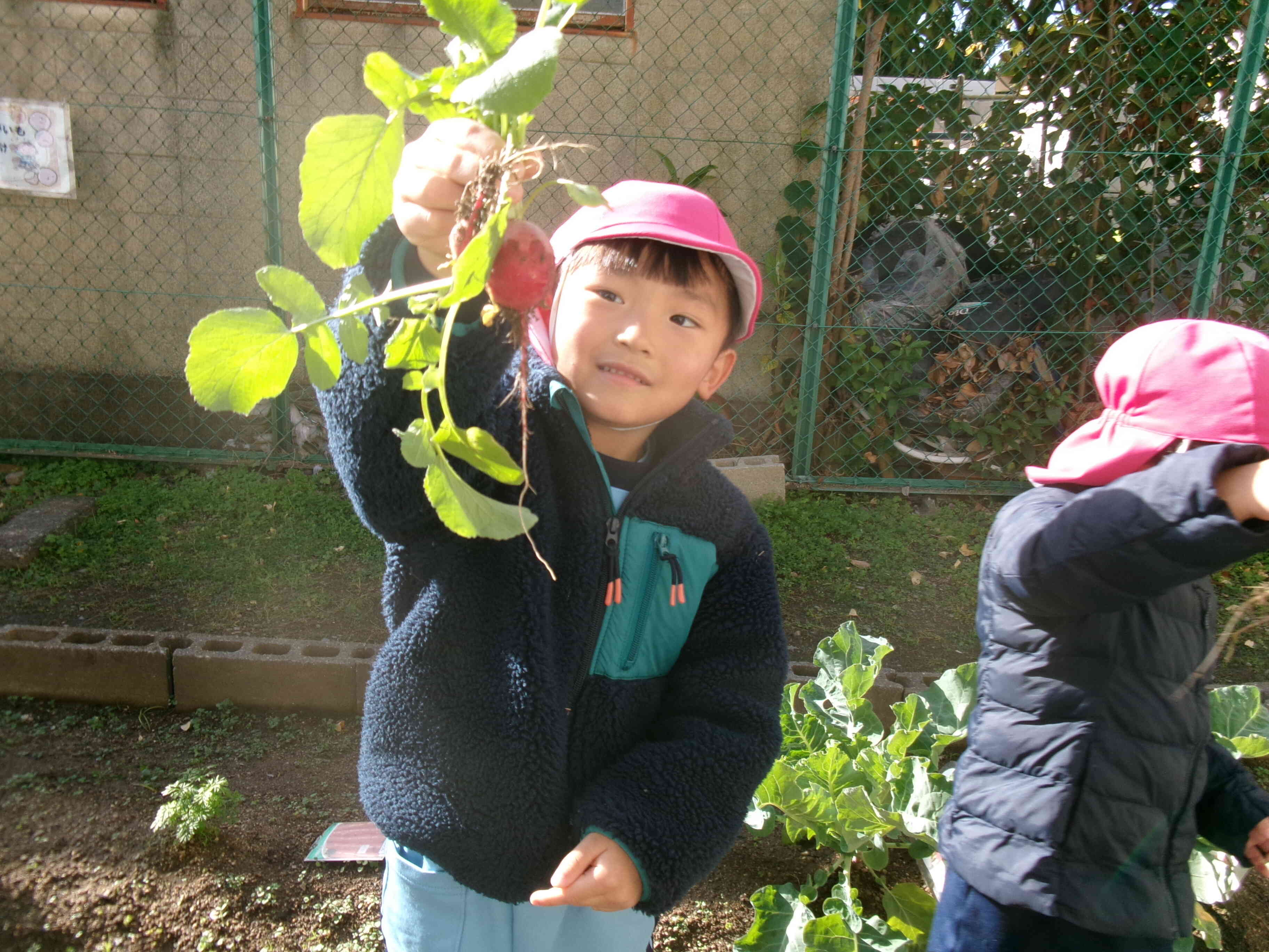 収穫した冬野菜をよく見ると、、、