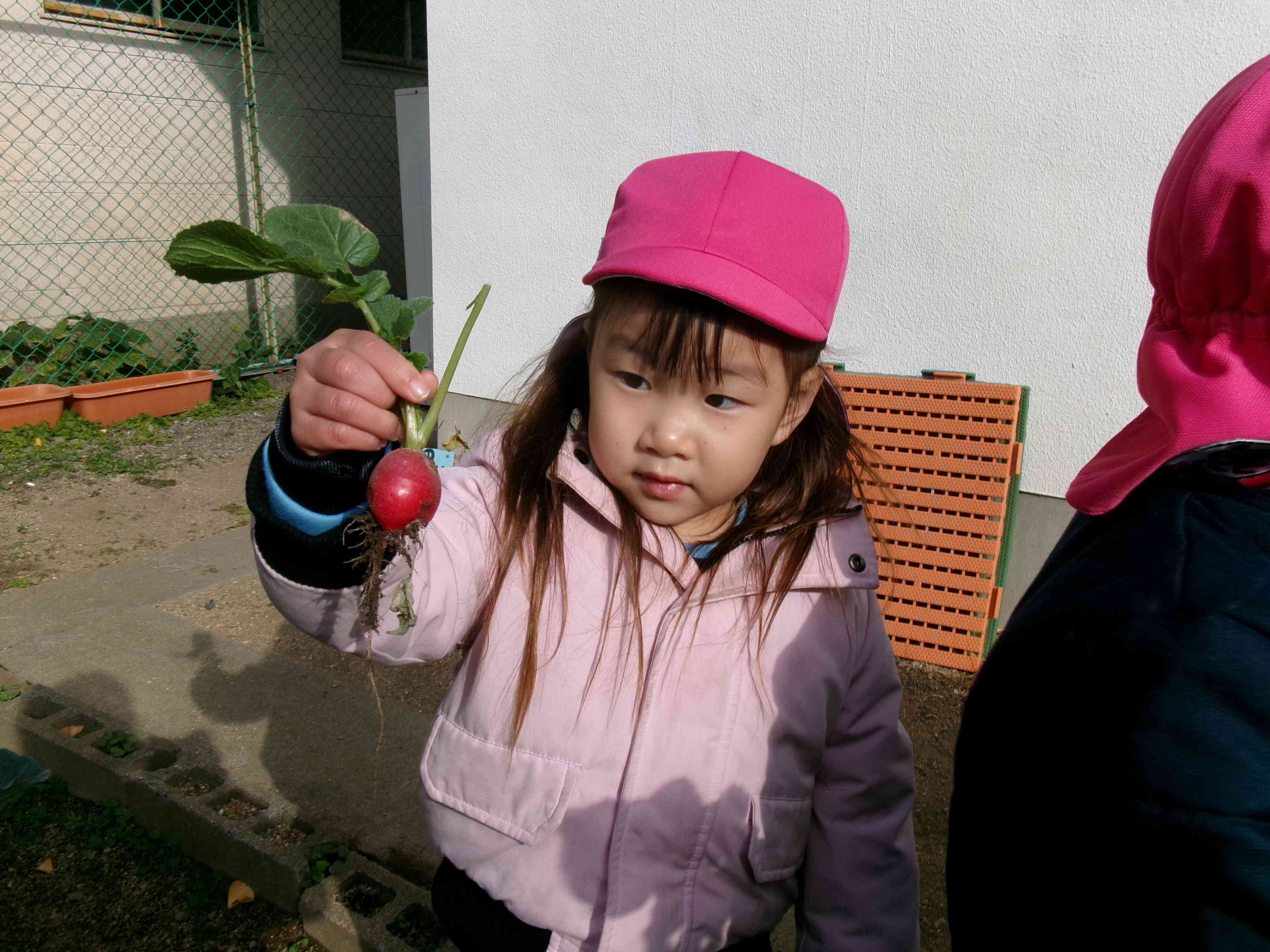 小っちゃくてかわいいね