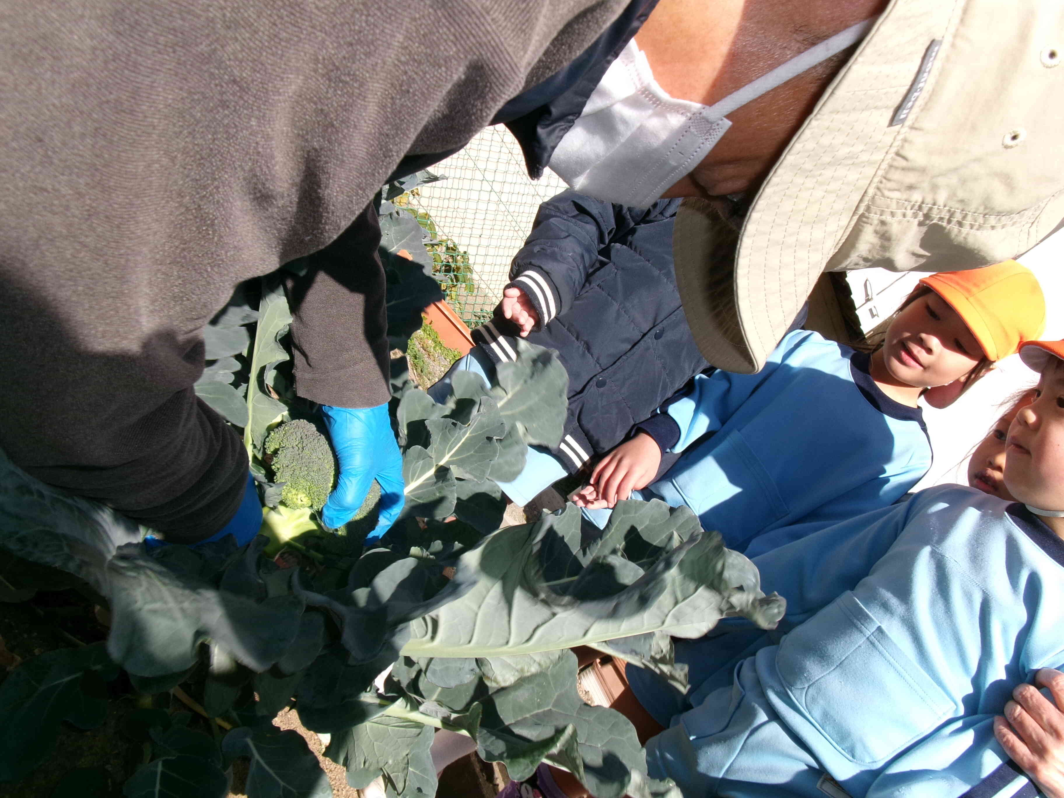 上手く切れるかなぁ。