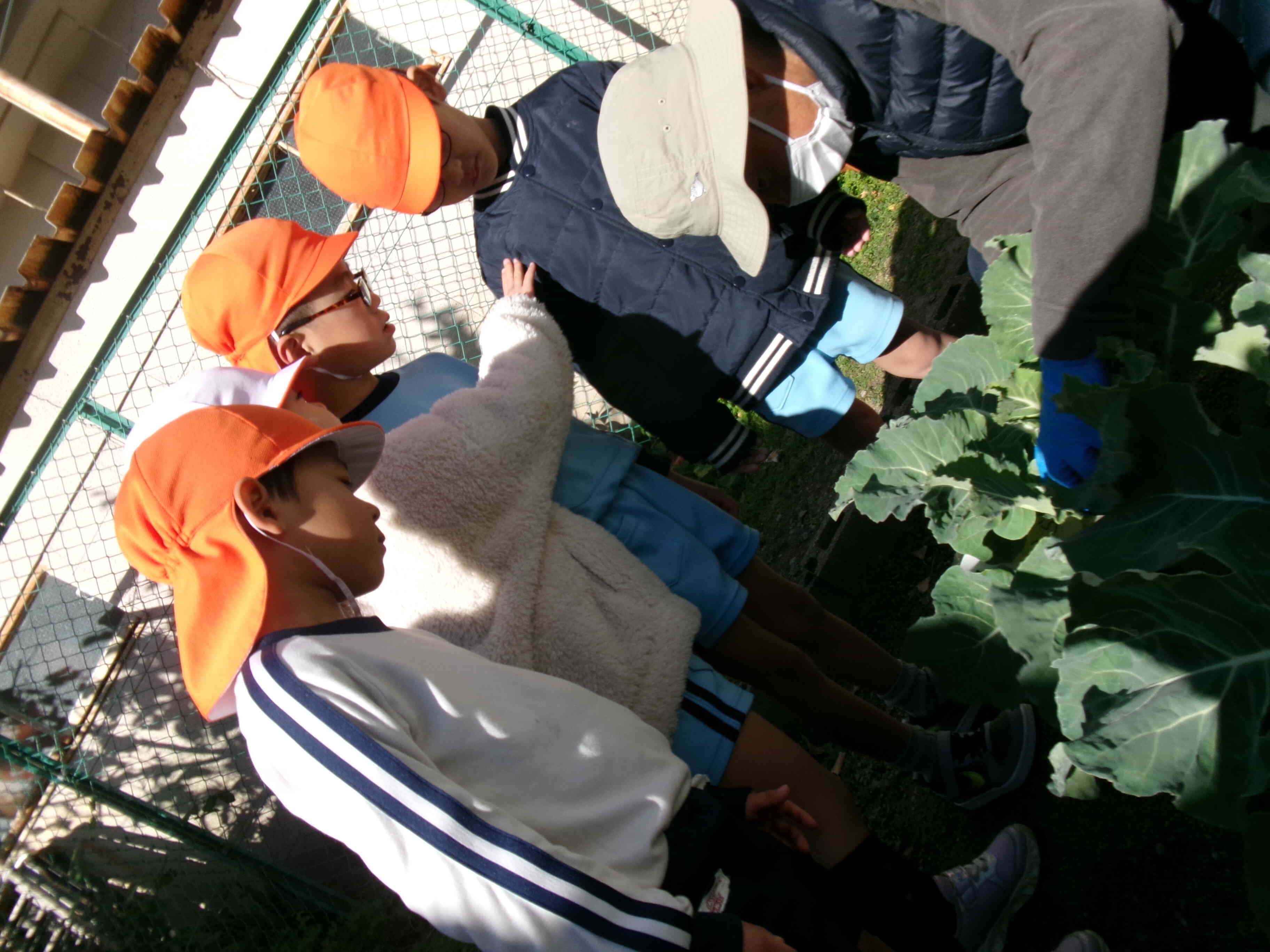 早く持ちたいなぁ~。