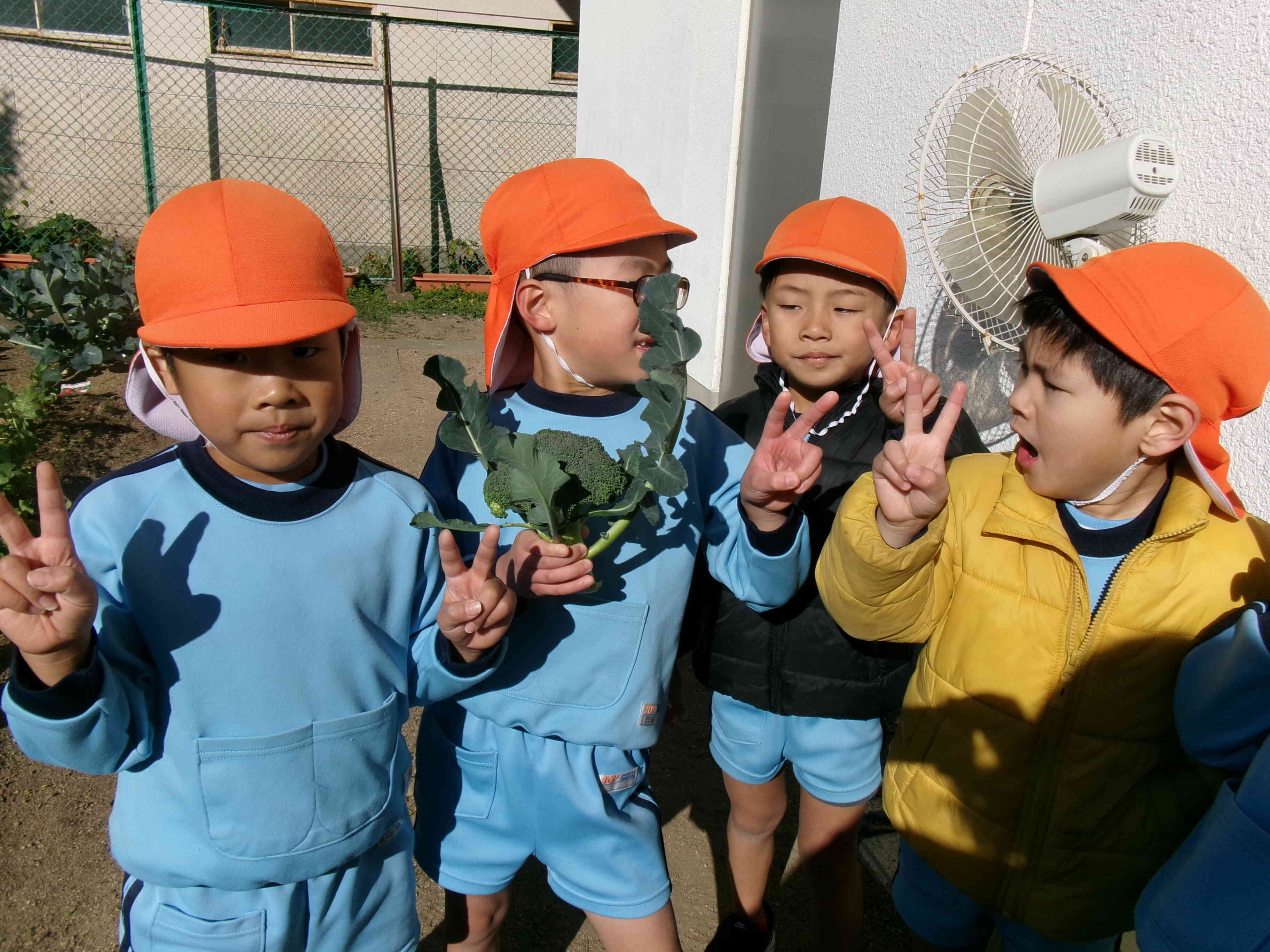 みんなピースする？