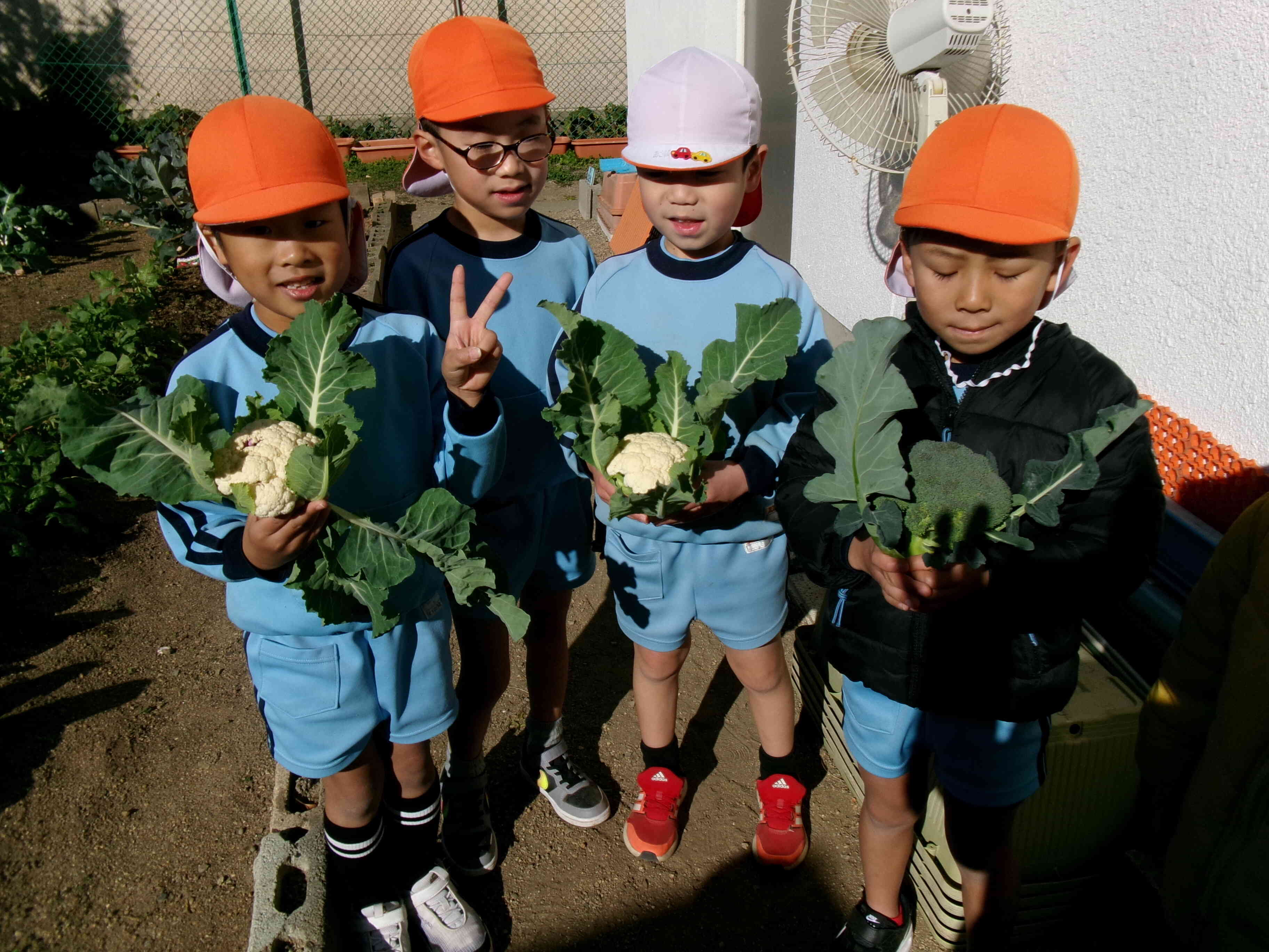 見てみて、大きいのができたよ。