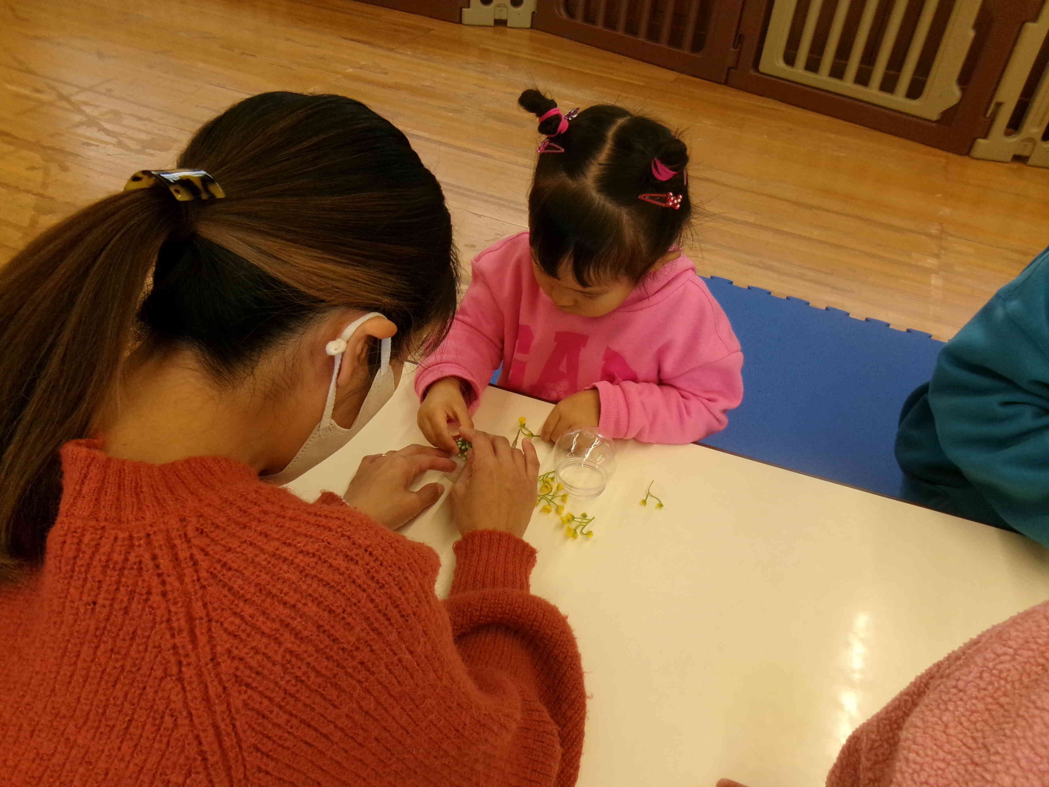 親子で真剣にレイアウト！どんな風にしようかな？