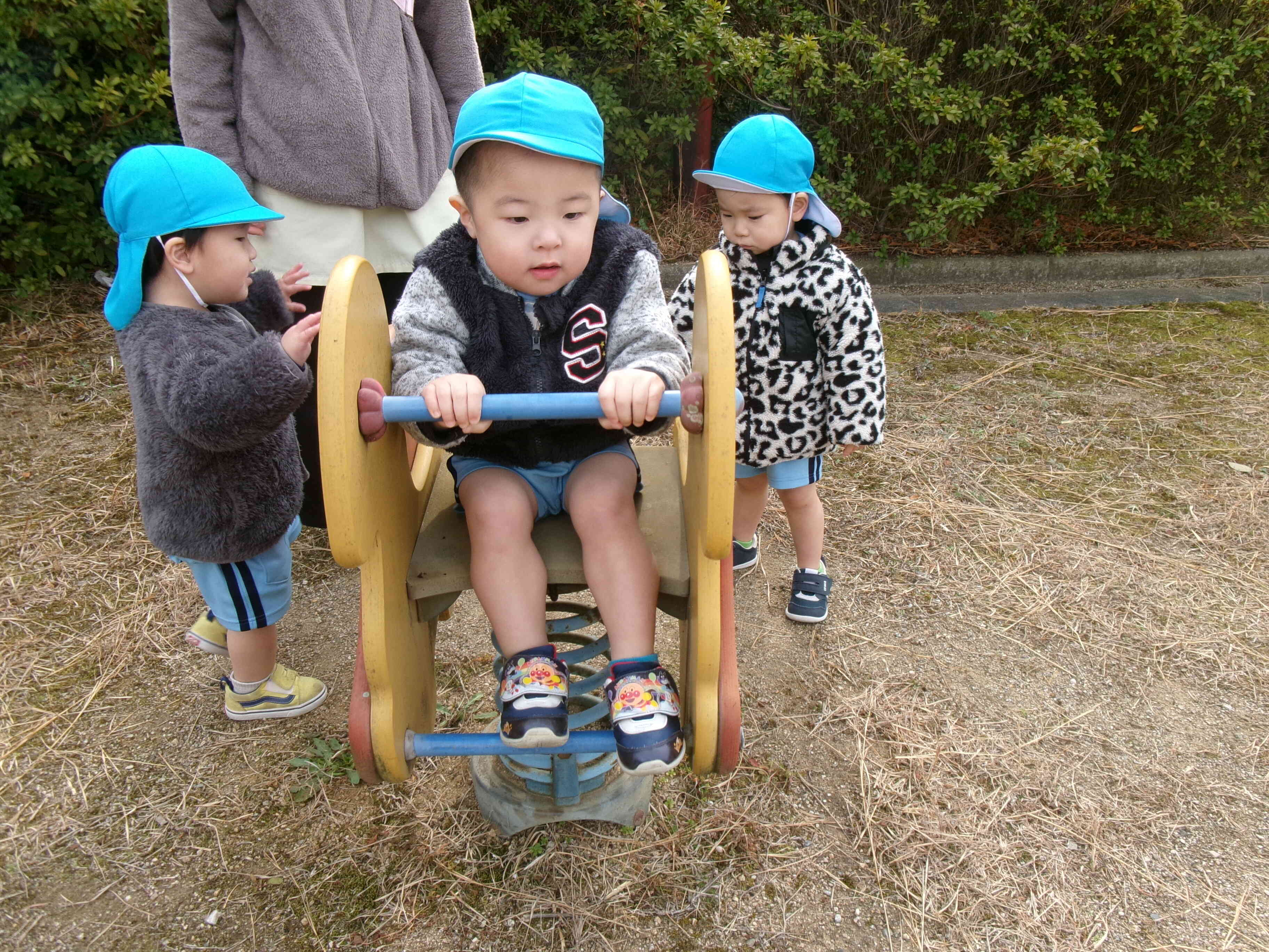 スプリング遊具を見つけたよ！