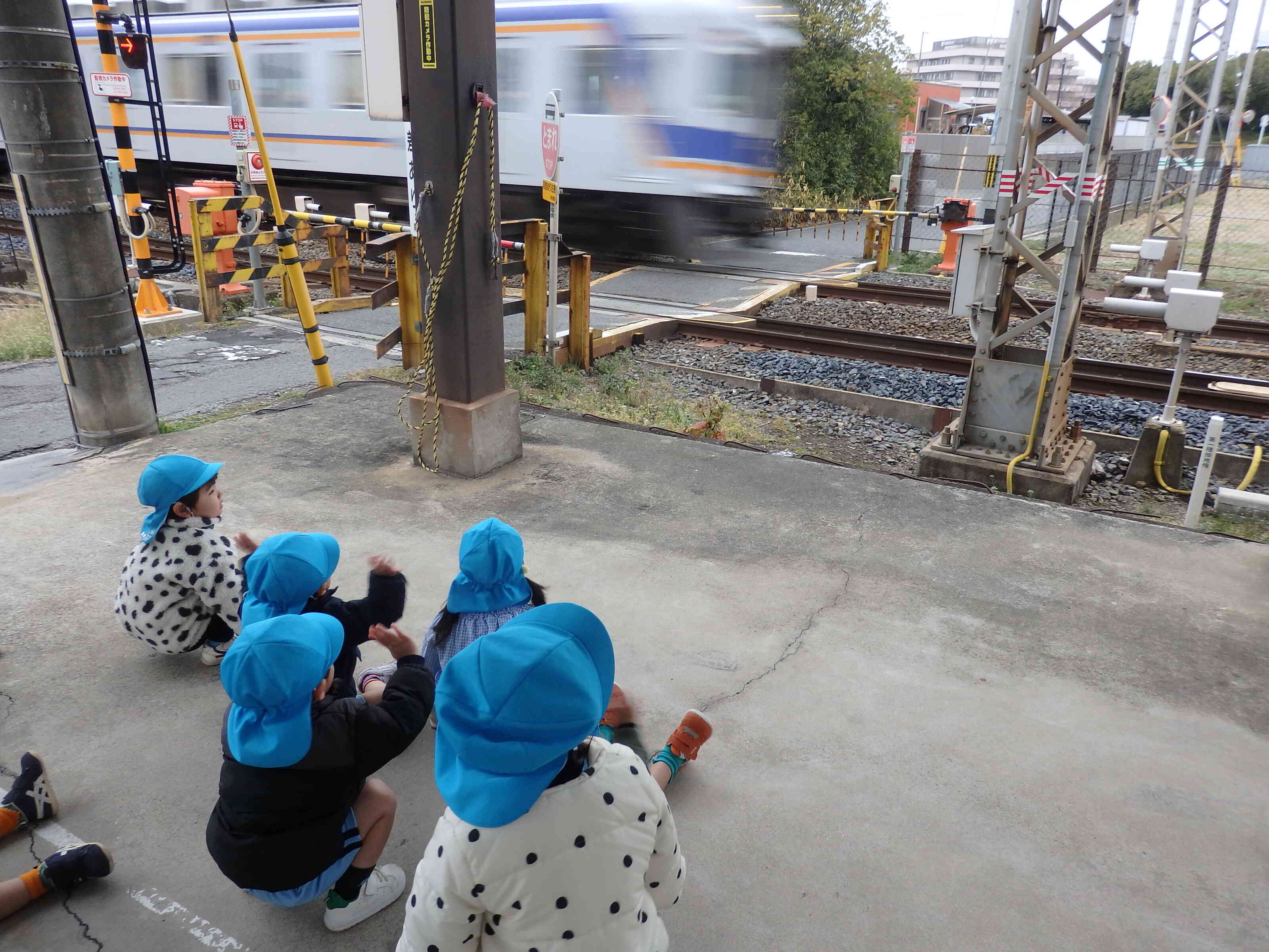 くるみチームさんはお散歩に行ったよ！電車速いね！！