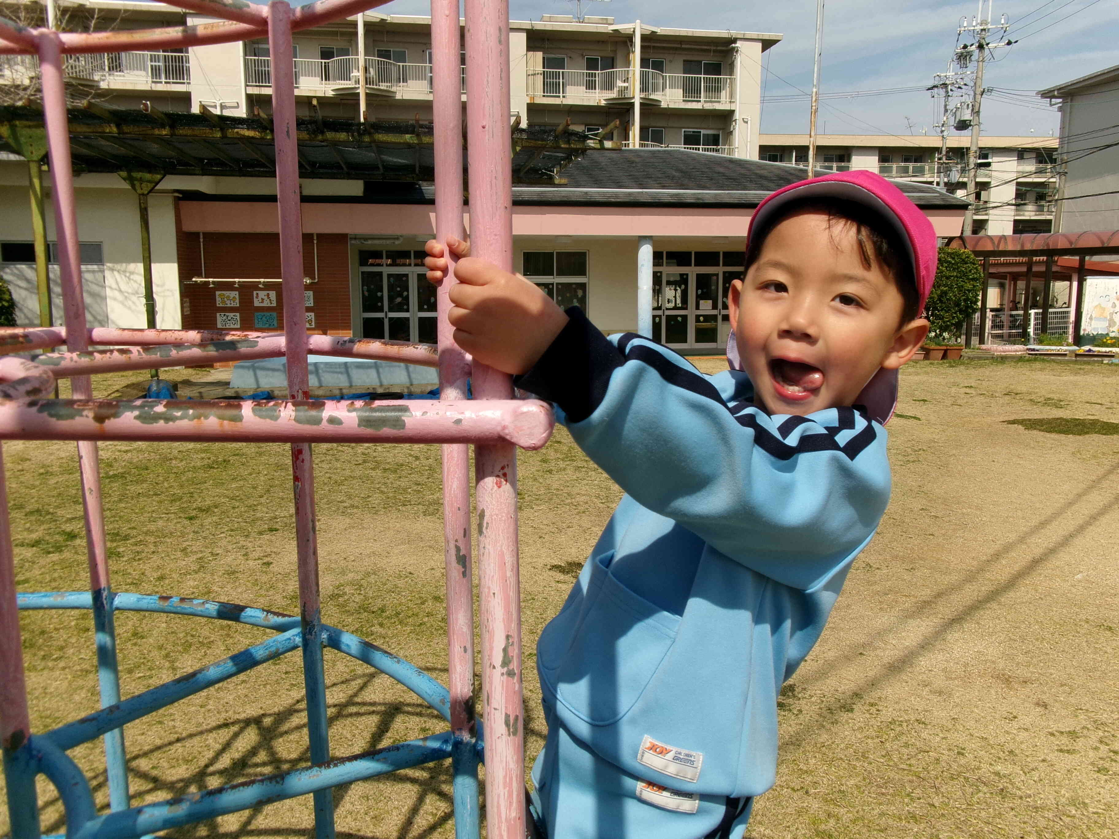 大好きなジャングルジム♪