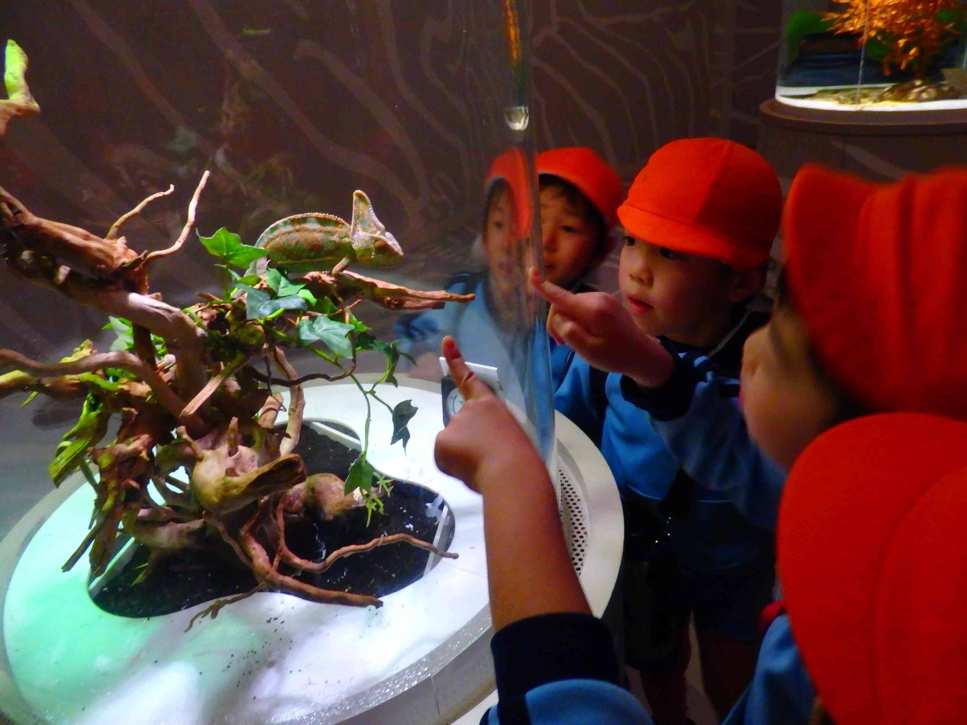 かくれるにふれる