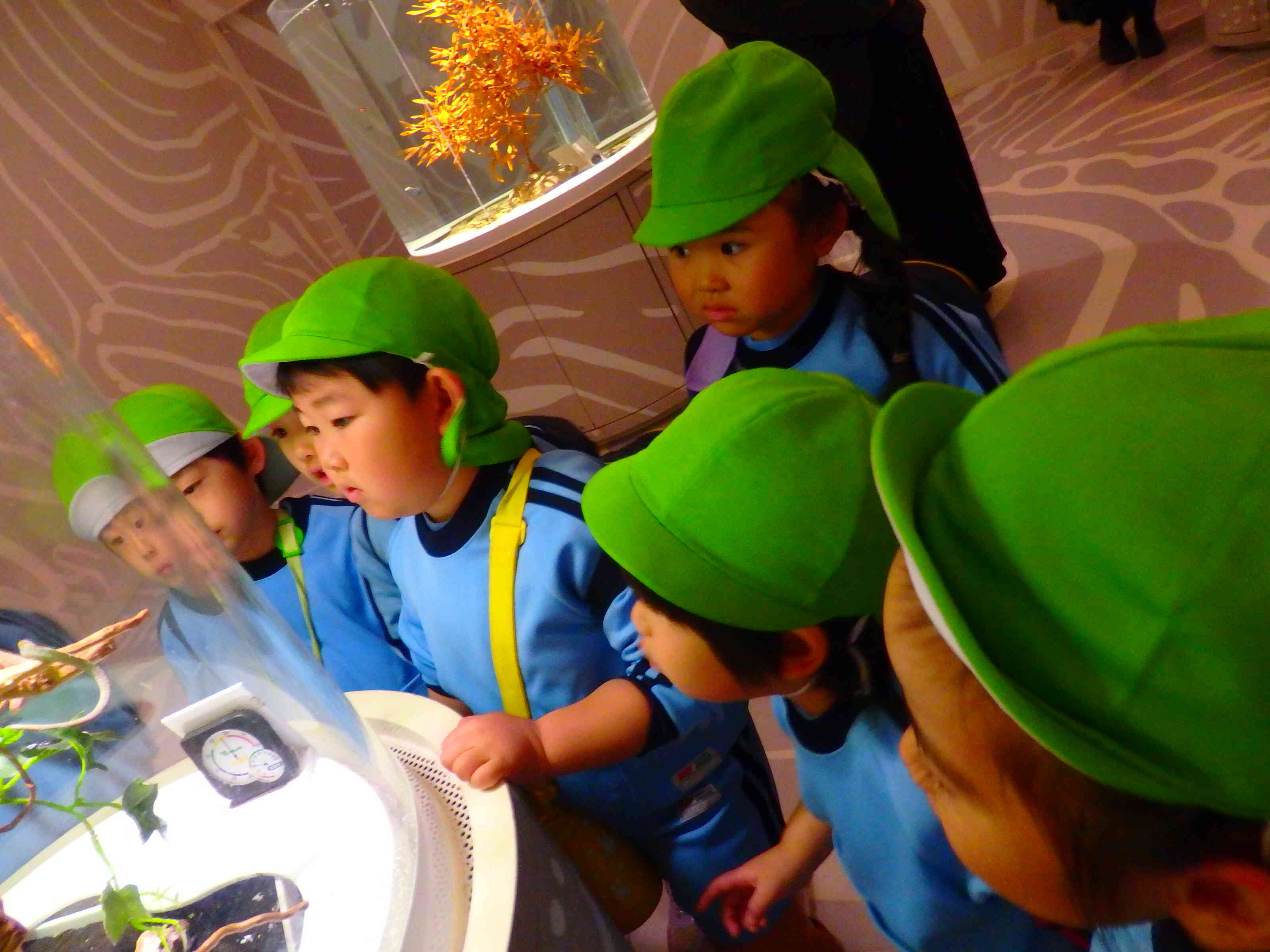 どこにいるのかな？