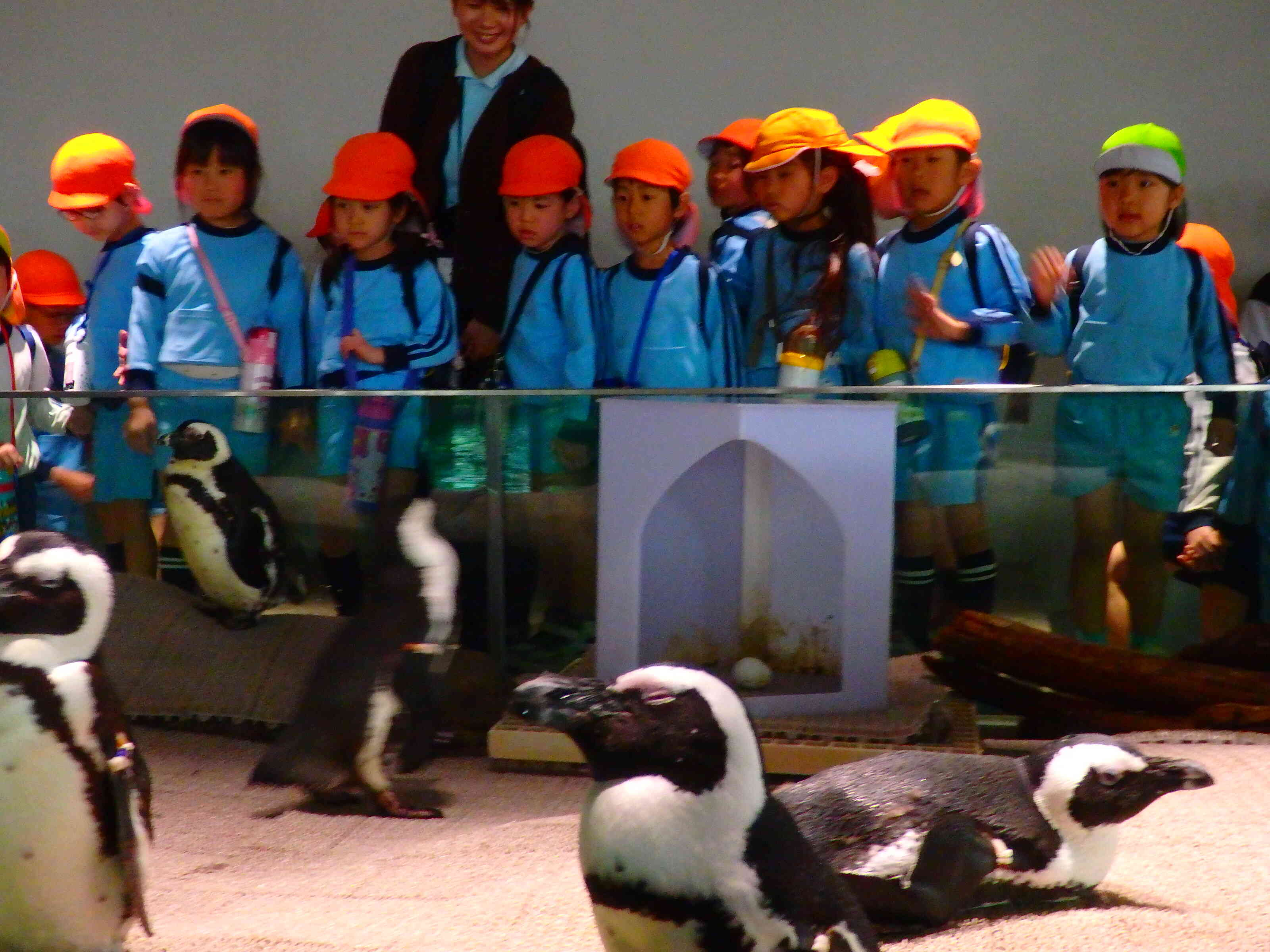 おわかれ遠足 ～おもいっきりSTEAM～