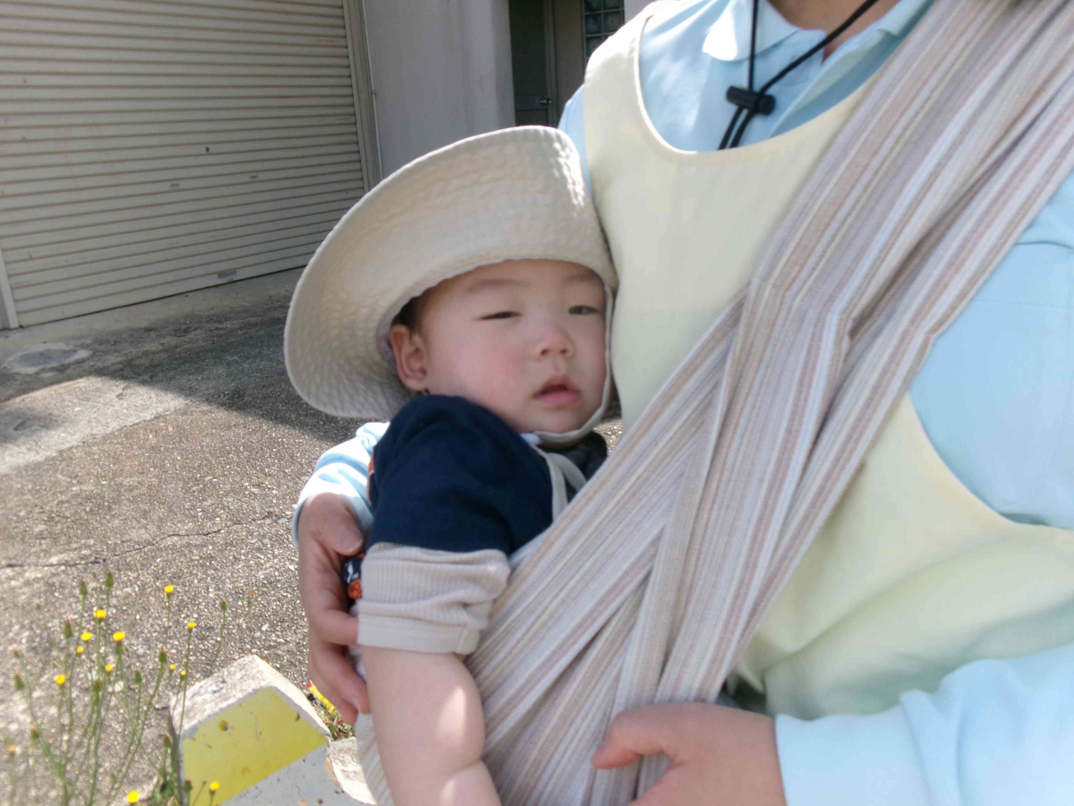 先生に抱っこされてのお散歩、気持ちよくってねむたいな～。