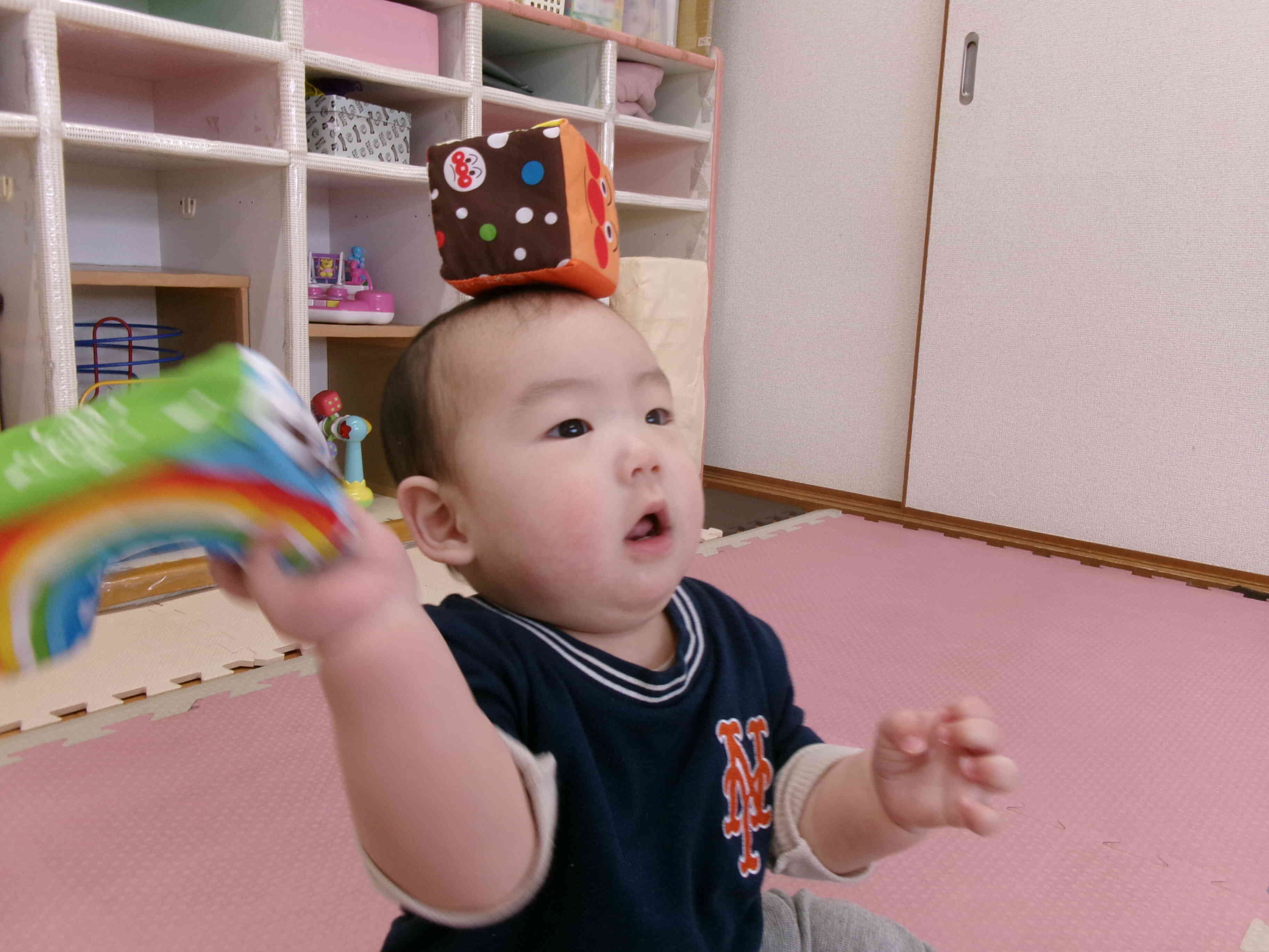 頭の上に上手にのせれたよ。