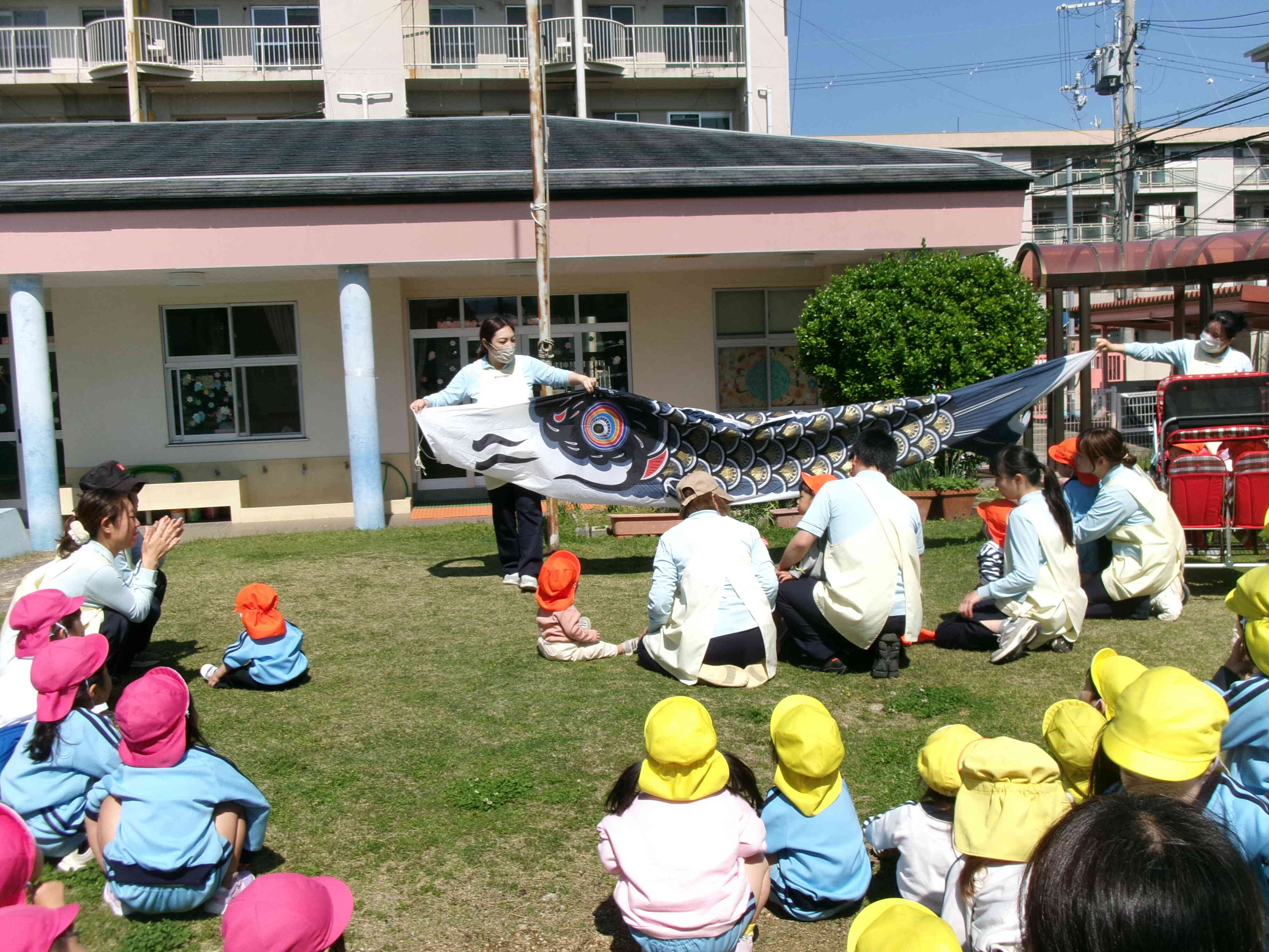 こいのぼりを出しました♪