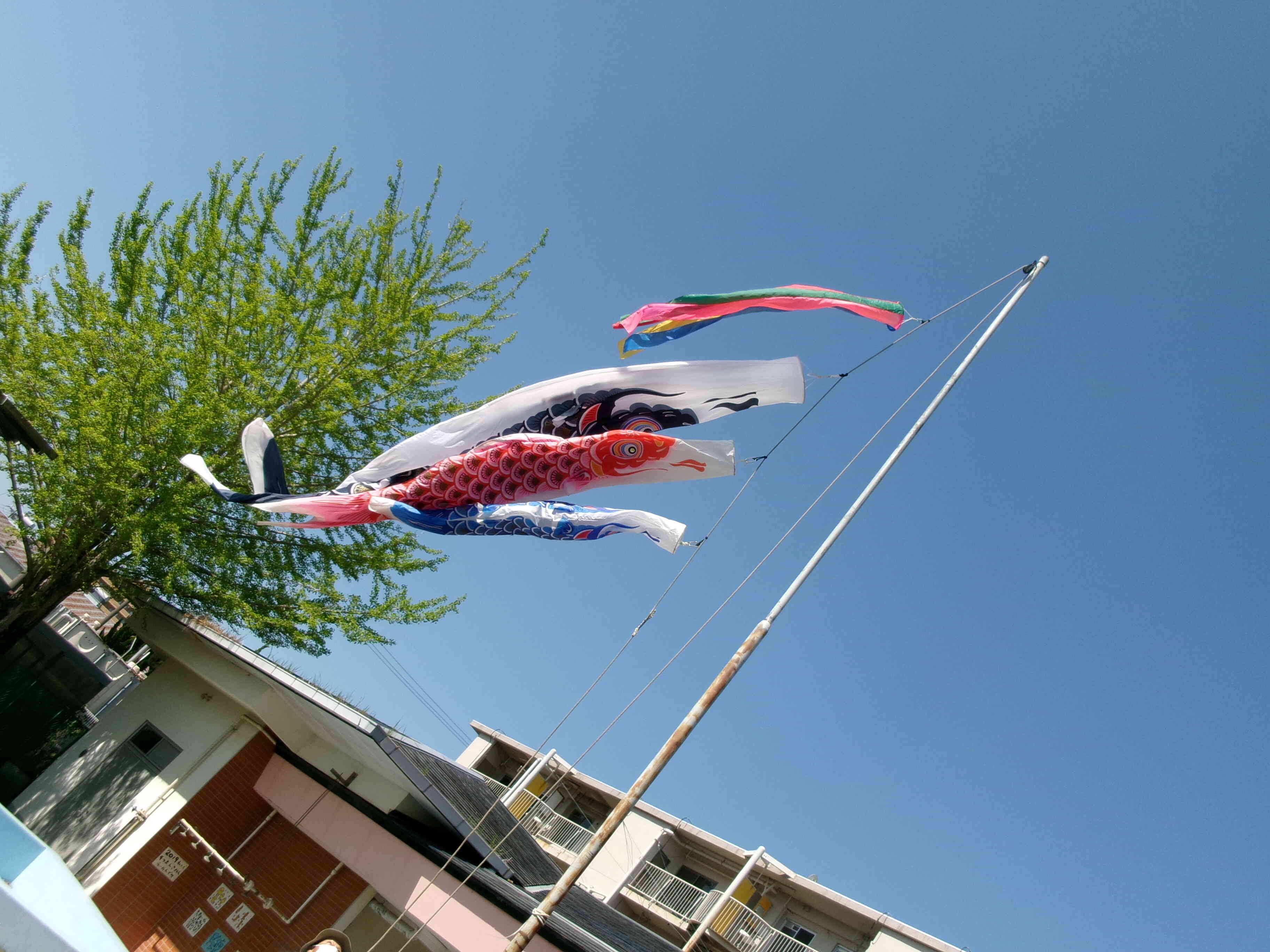 3・2・1　ジャーン！！