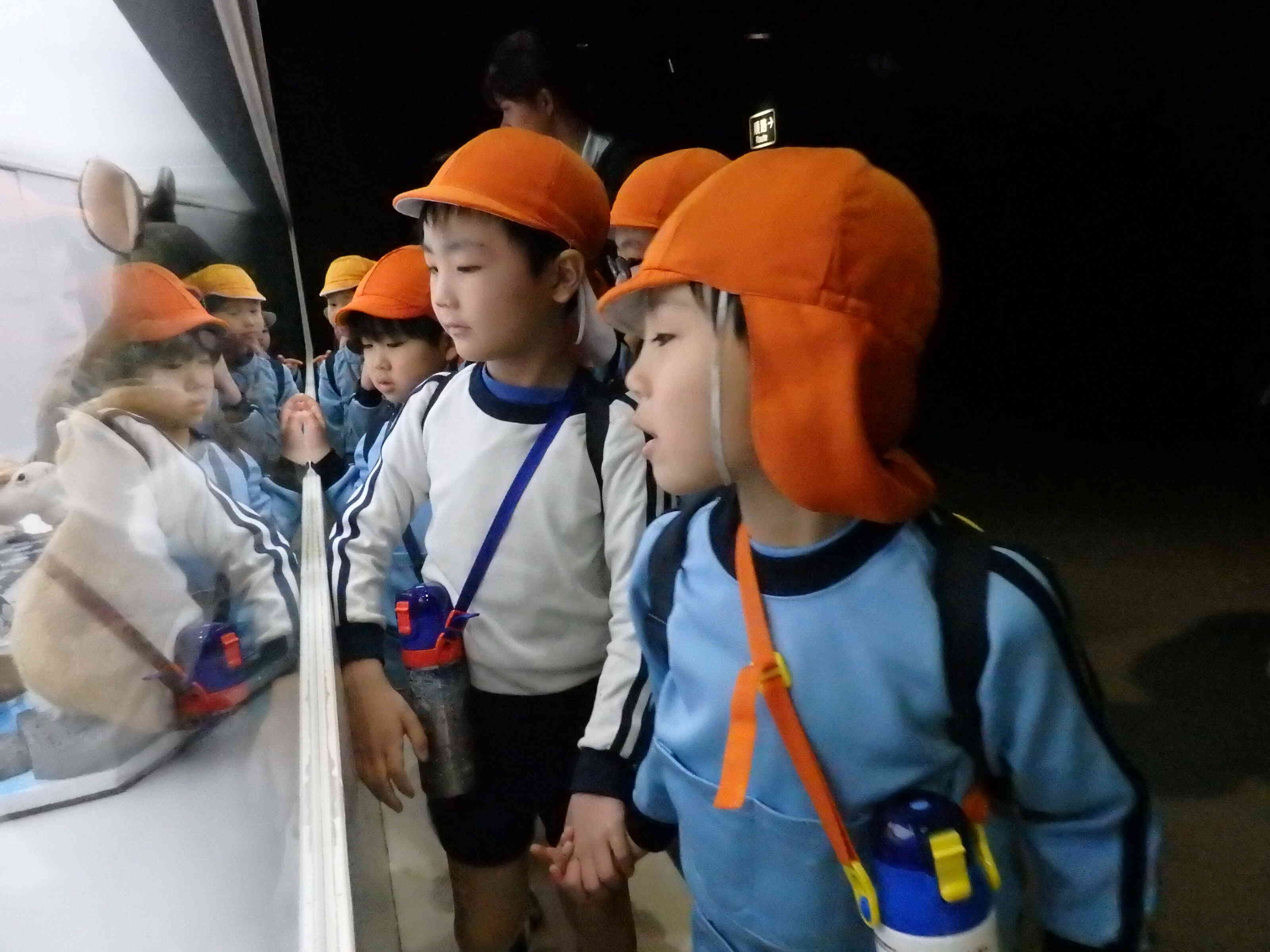 かわいい～。動物のぬいぐるみが沢山！ふわふわだね～！