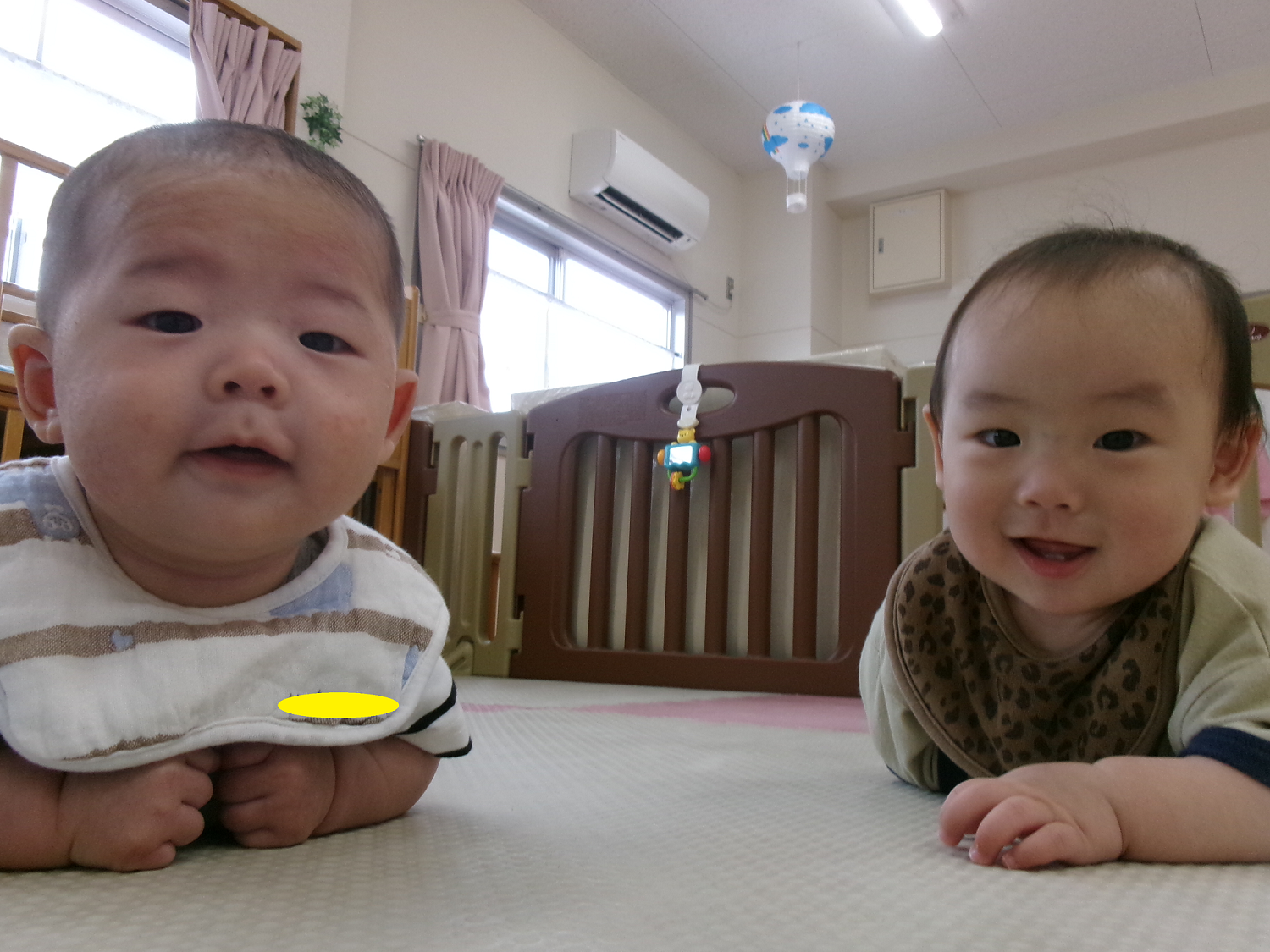 新しいお友だちが増えたよ☆
