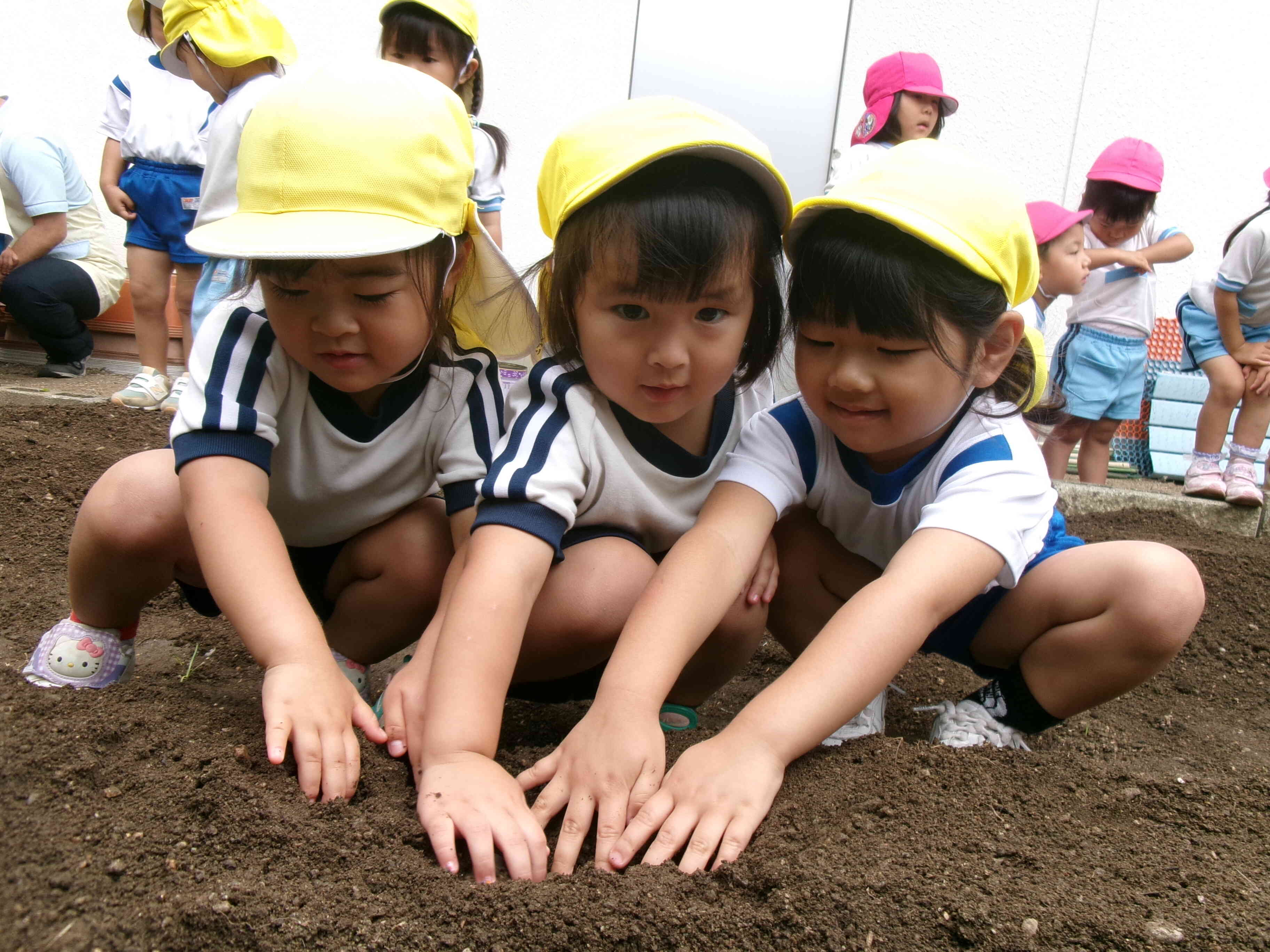 苗植え・園庭遊びでの様子【ぱんだぐみ】