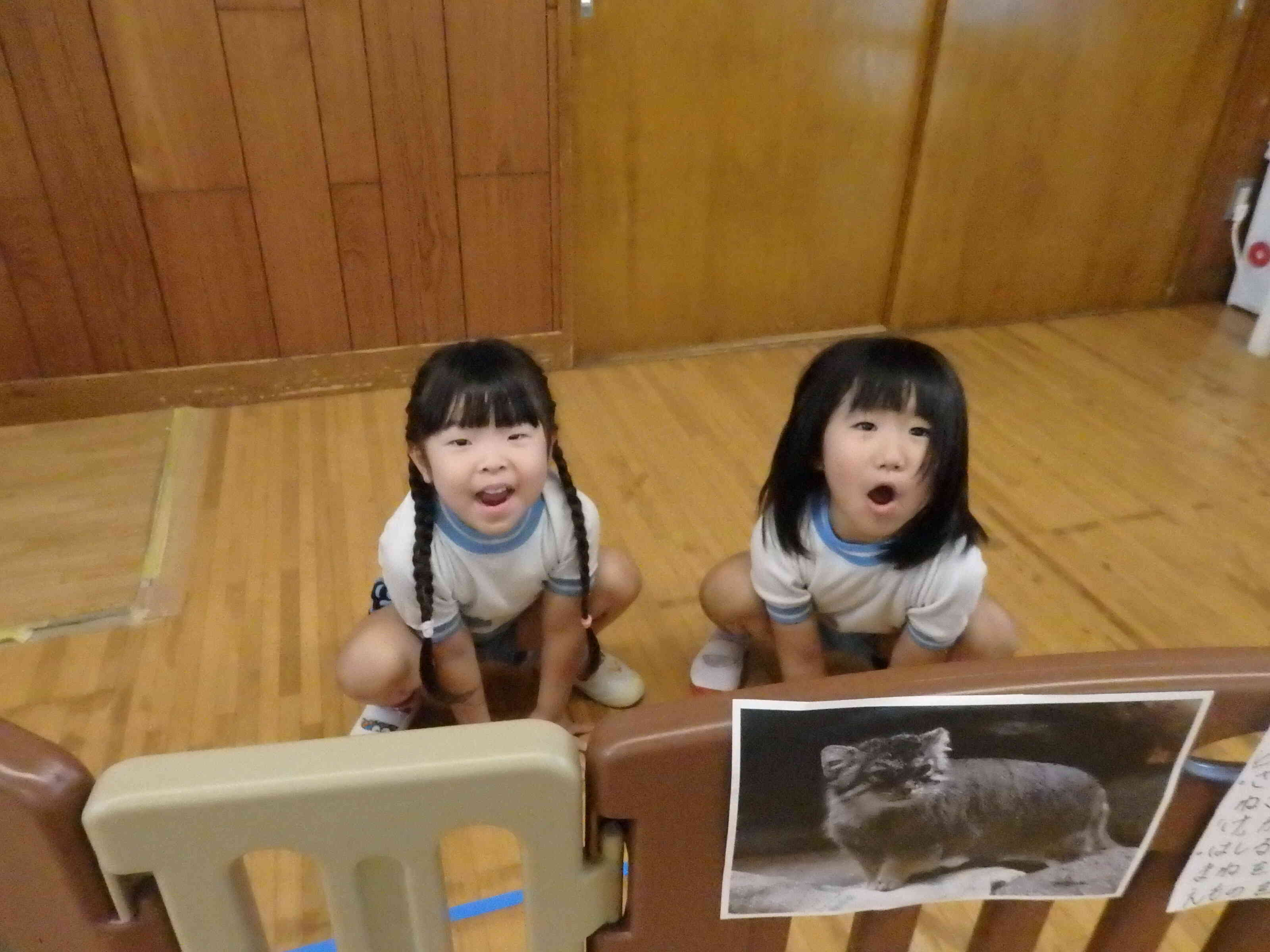 ニチイキッズ泉南保育園に動物がやって来た！